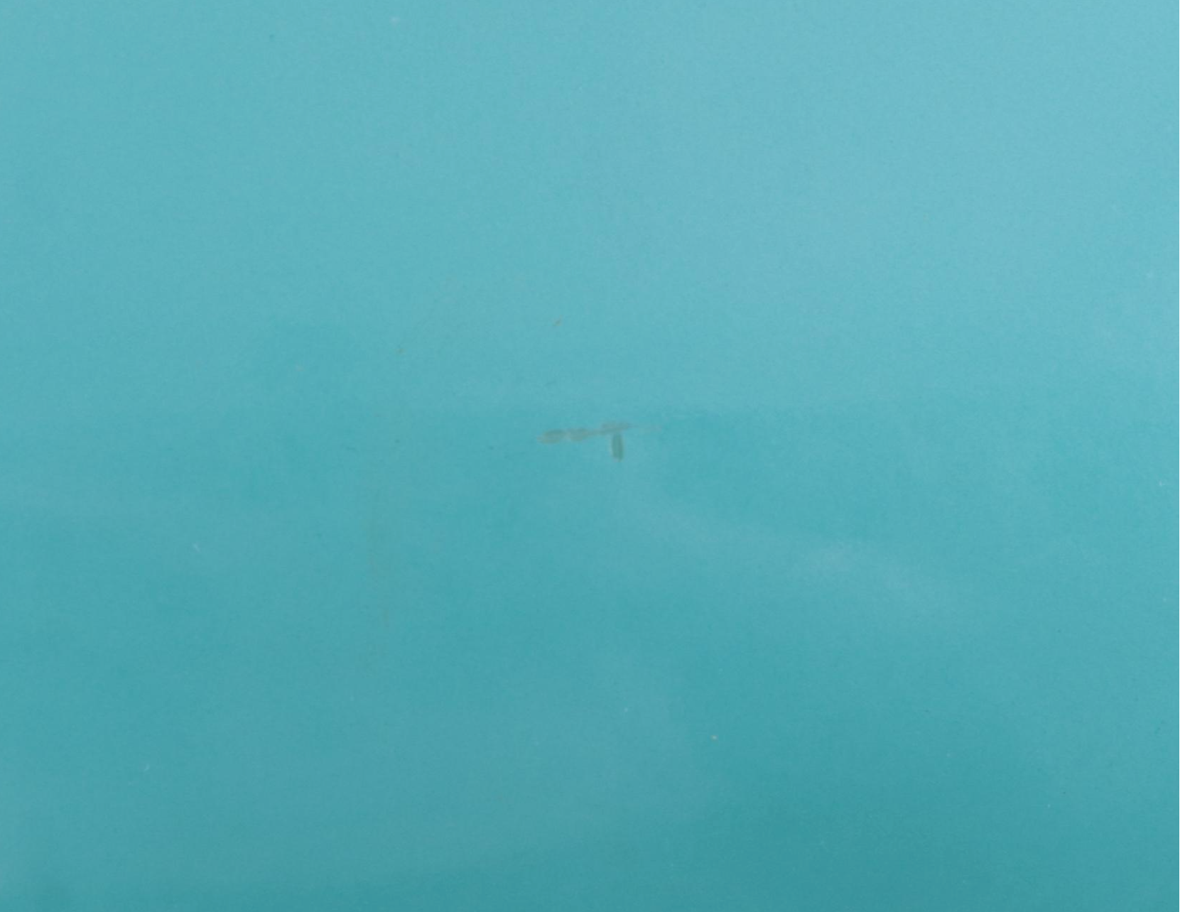 Pyrex "Solid Colors" Yellow Mixing Bowl with Turquoise Square Chip Bowl