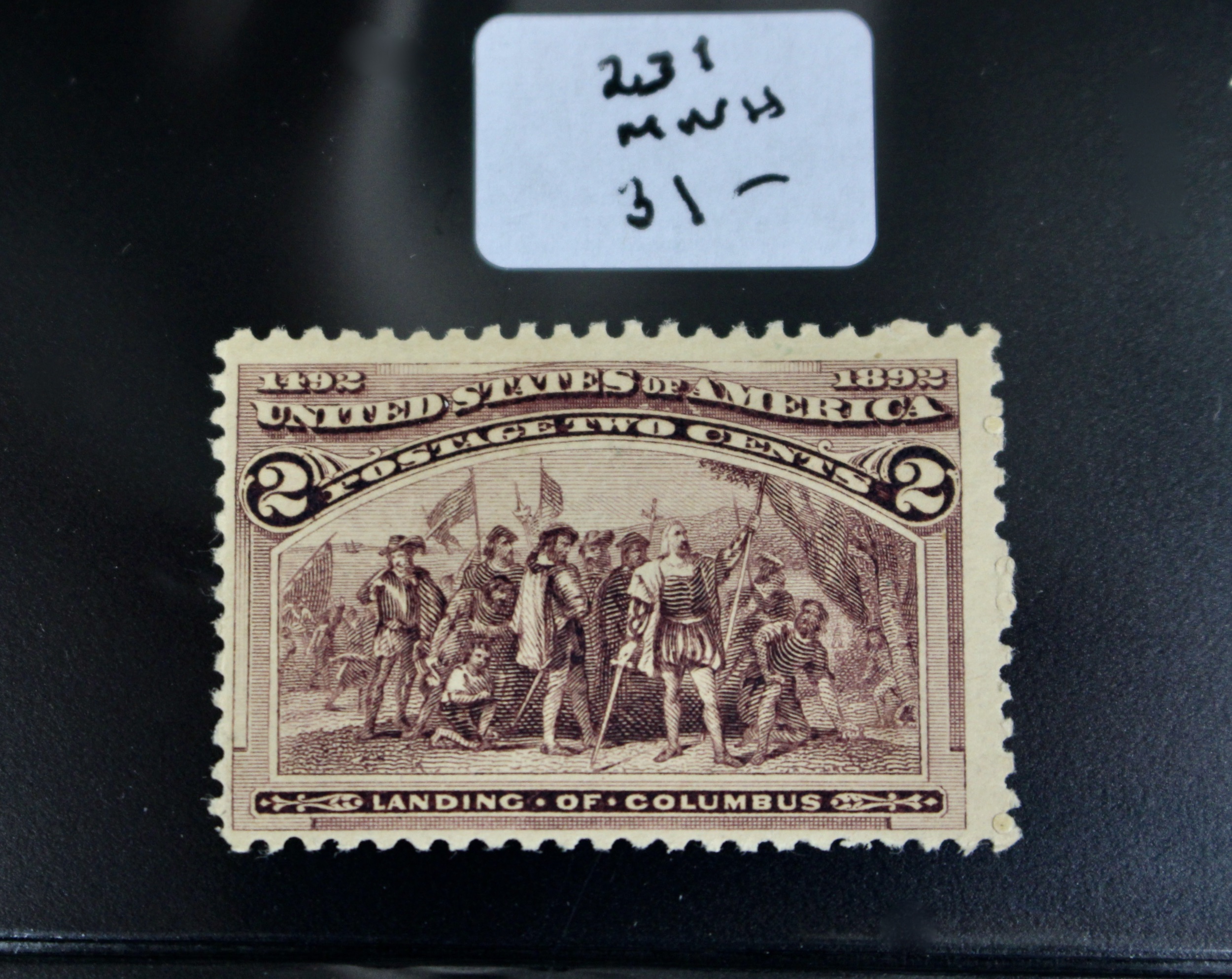 Columbian Exposition and Trans Mississippi U.S. Postage Stamps, 1890s