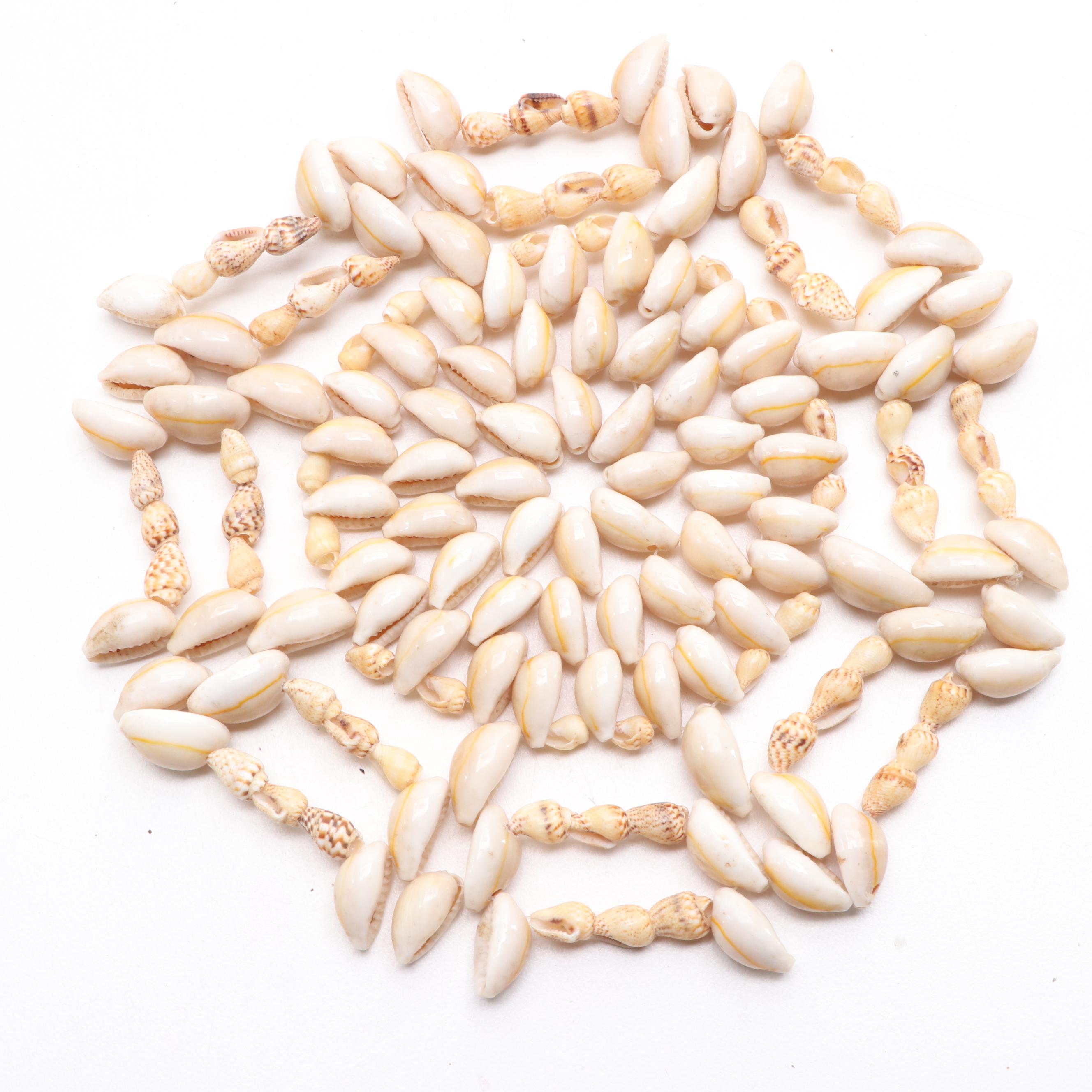 West African Cowrie Shell Doily, Carved Cow Horn, Arrow Tips, Zebra Hide Box