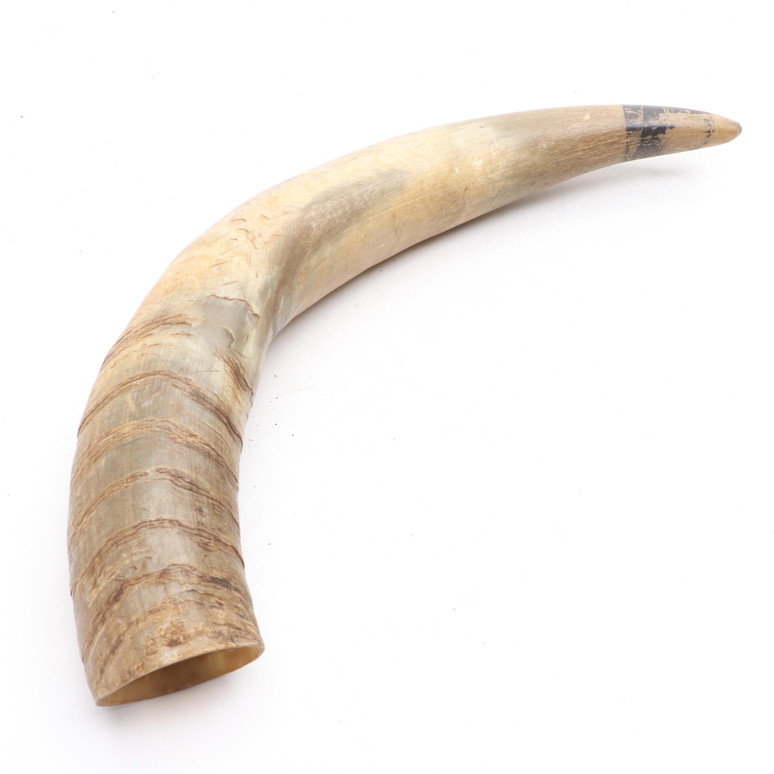 West African Cowrie Shell Doily, Carved Cow Horn, Arrow Tips, Zebra Hide Box