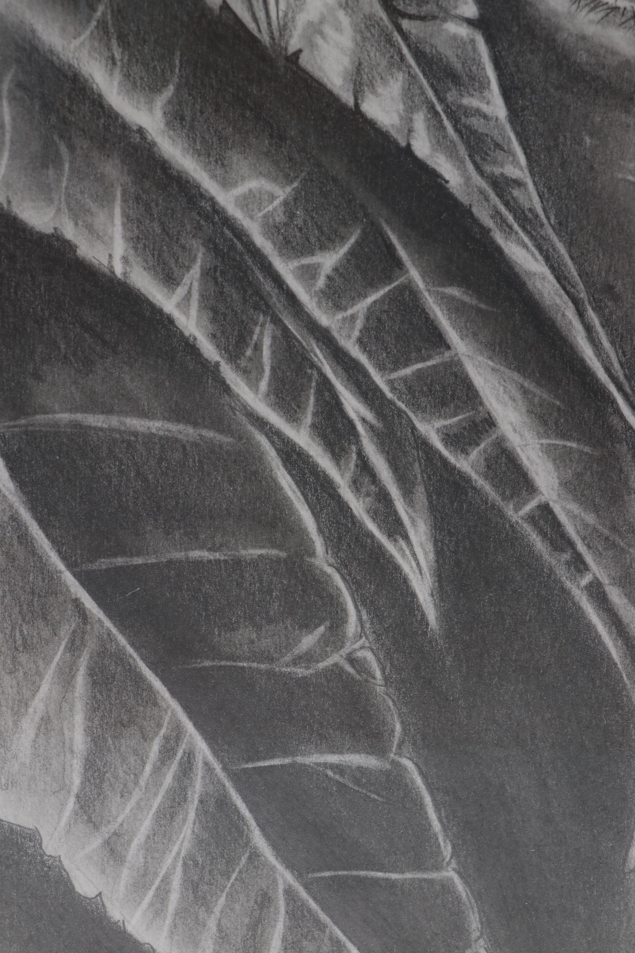 Portrait Drawing, 21st Century