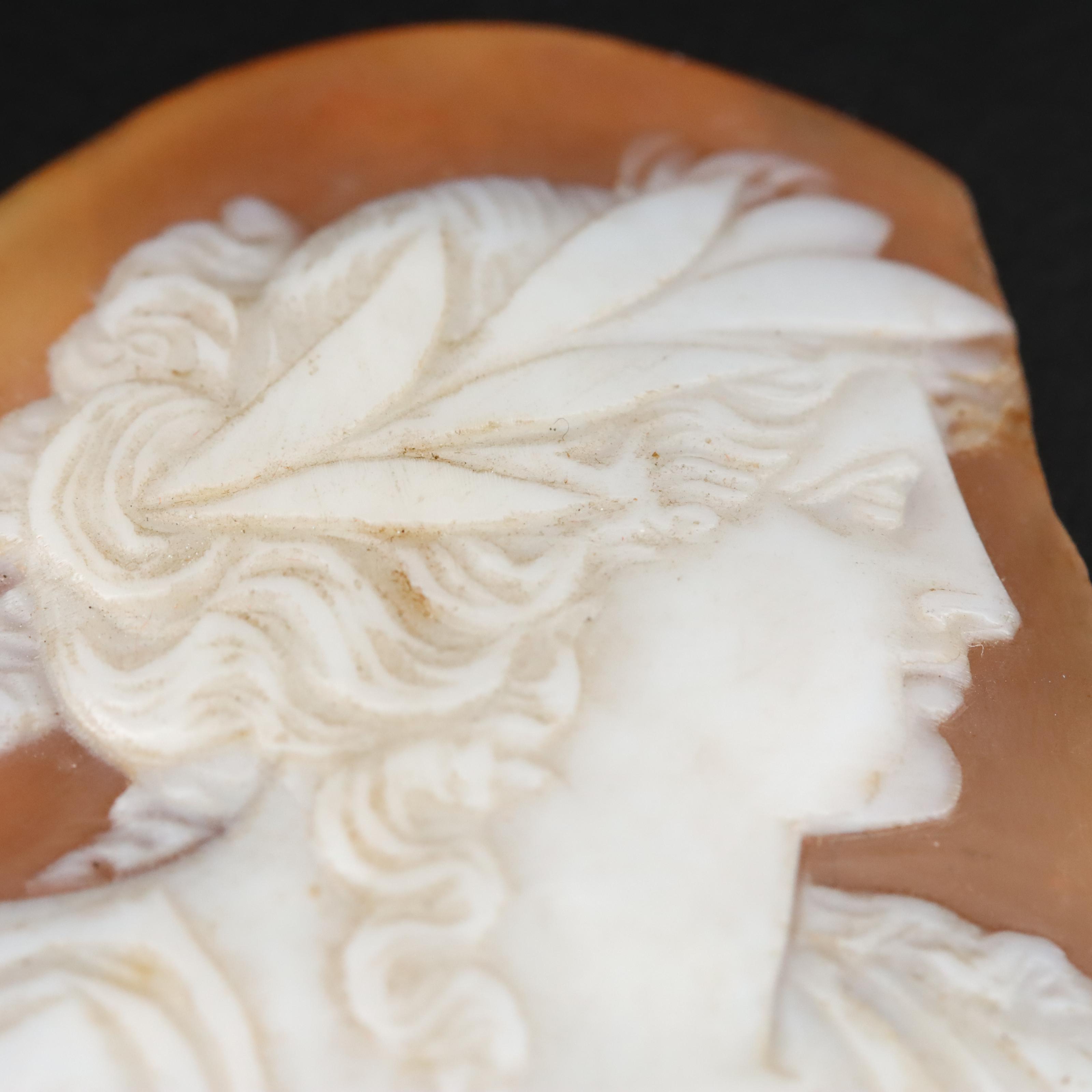 Loose Shell and Lava Cameos