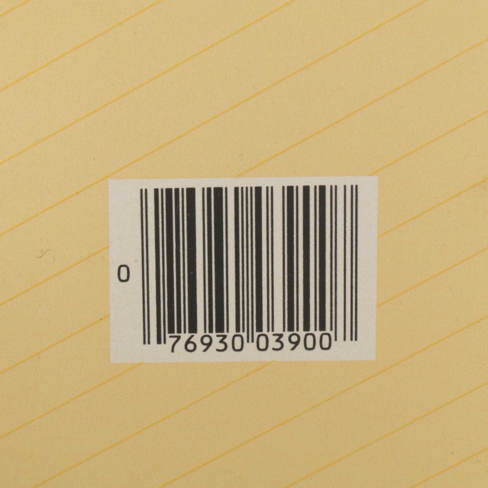 Cabbage Patch Kids Doll Collection with Costumes, Trunk, Sewing Patterns, & More