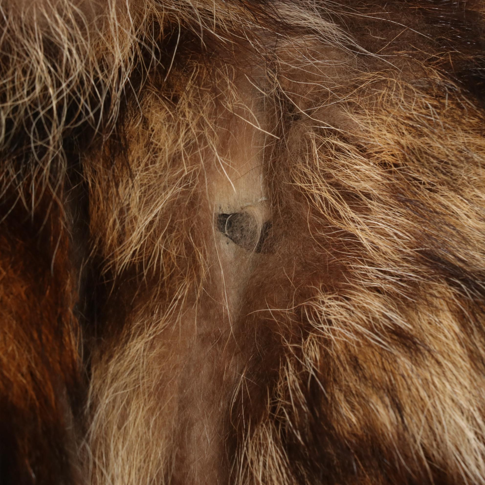 Raccoon Fur Coat with Shawl Collar