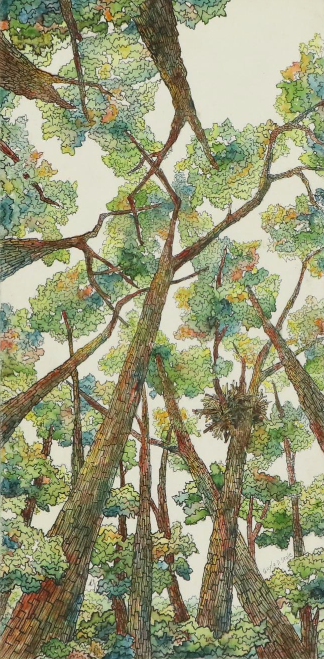 Gayla D. Seale Watercolor Painting Landscape with Tall Trees
