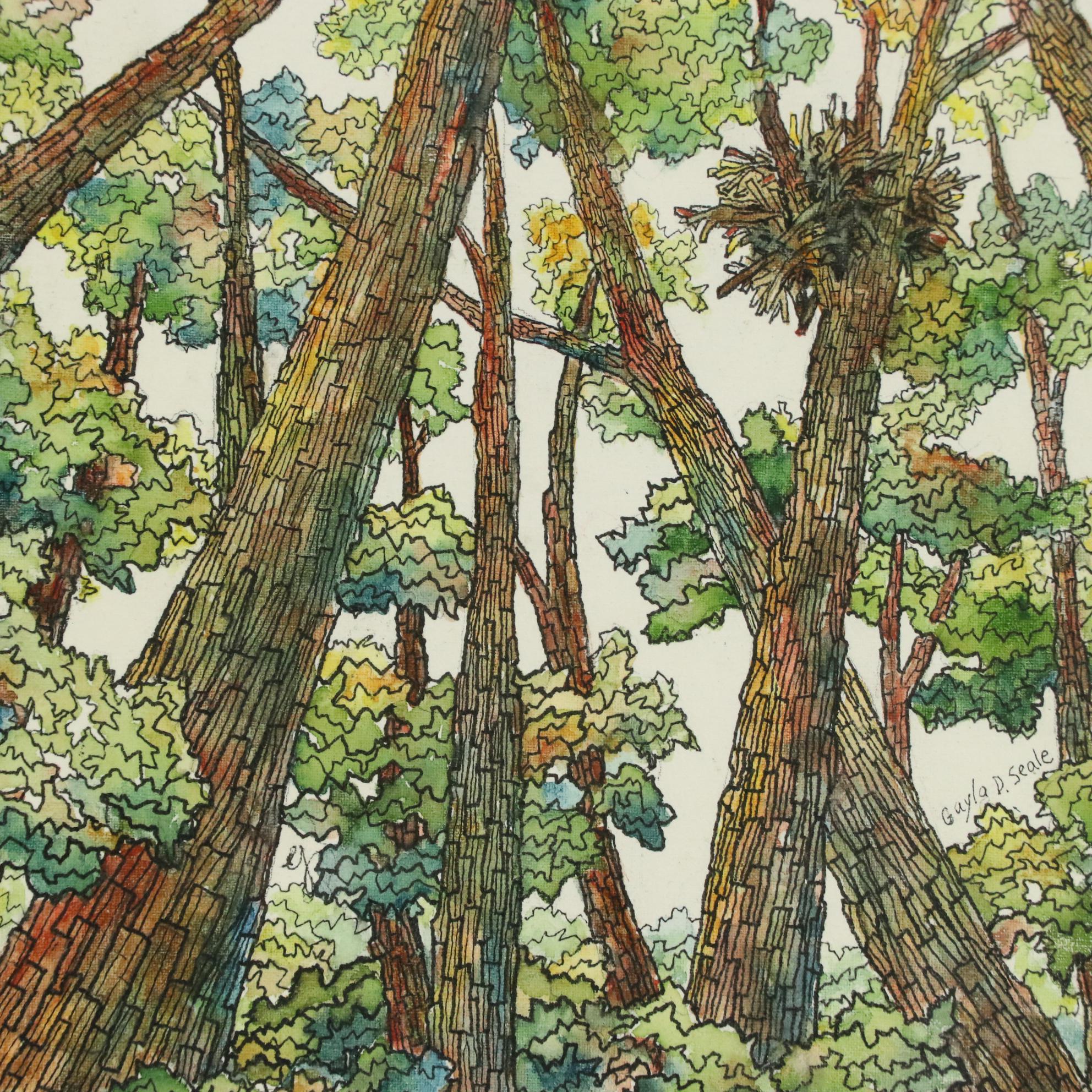 Gayla D. Seale Watercolor Painting Landscape with Tall Trees