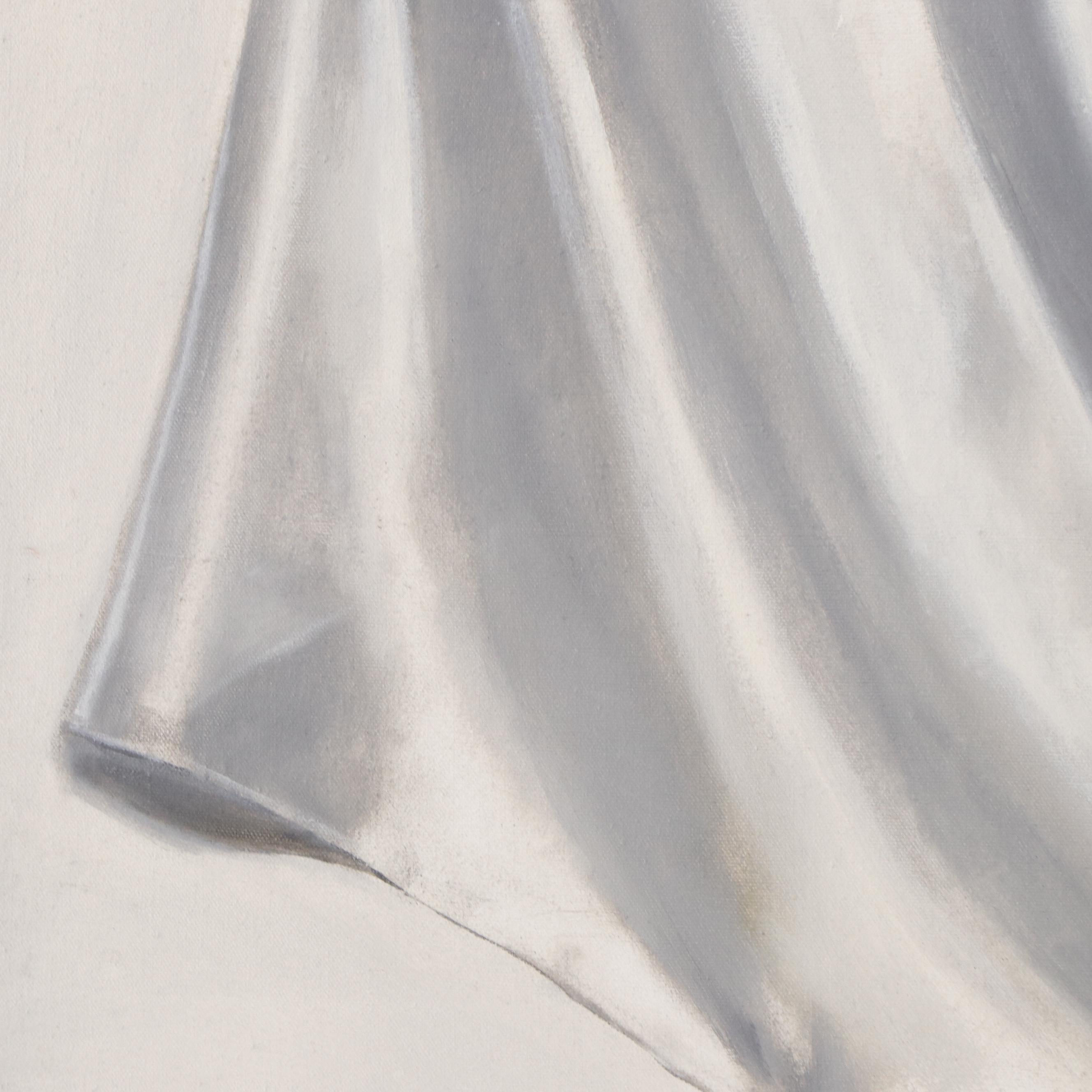 Gary Ross Still Life Acrylic Painting of Drapery Study