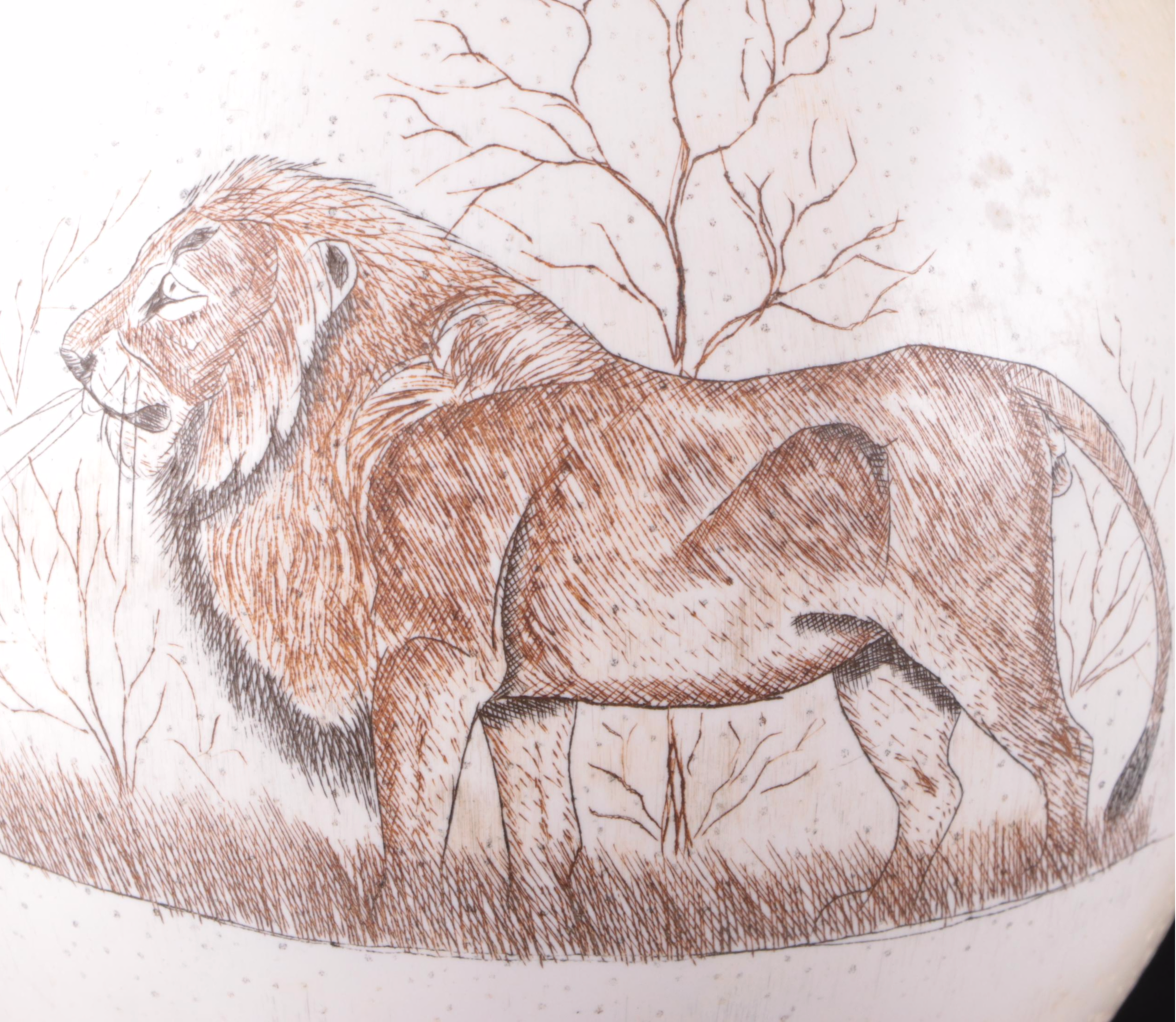 Scrimshaw Engraved Ostrich Egg