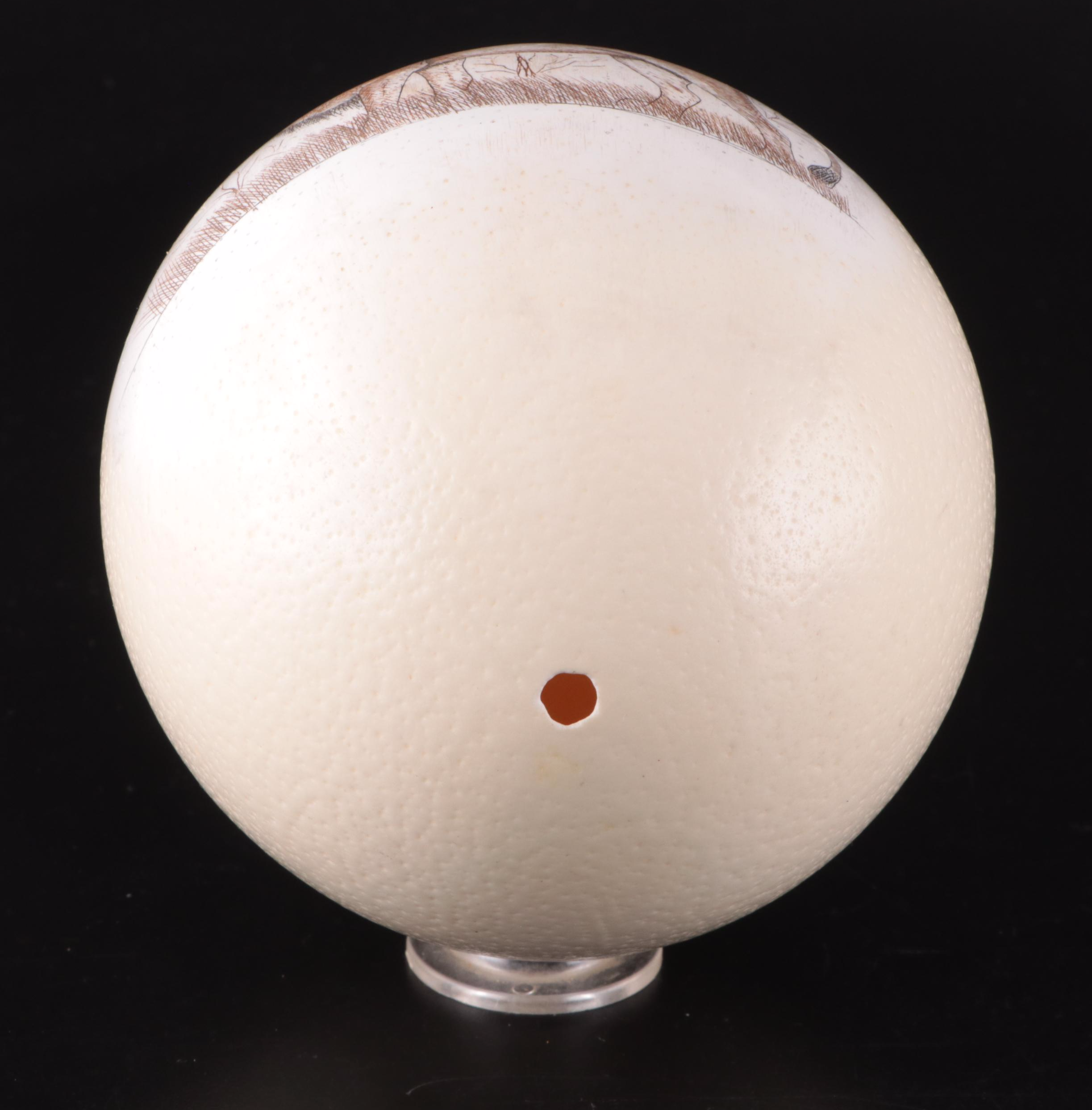 Scrimshaw Engraved Ostrich Egg