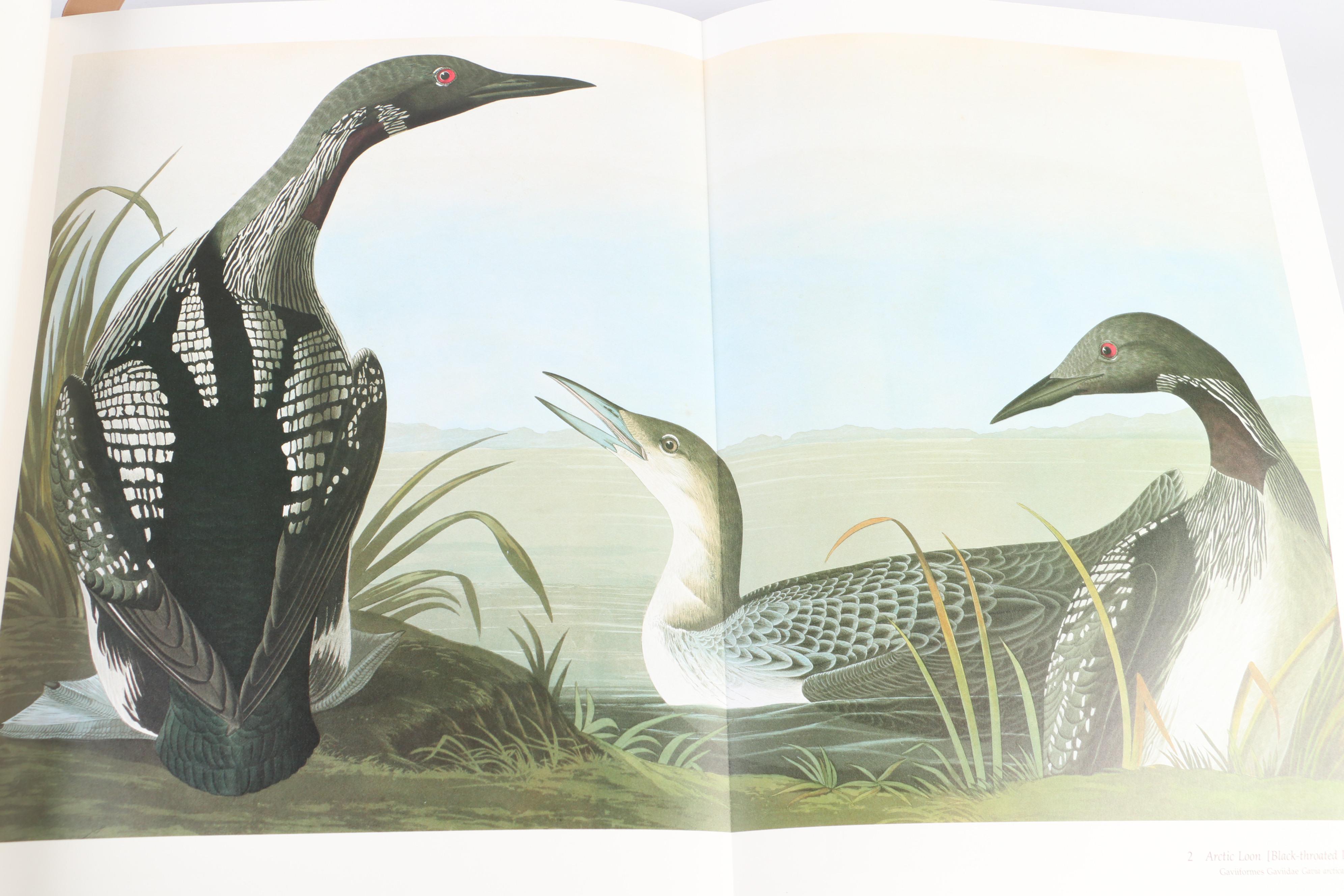 Audubon Society Baby Elephant Folio "Birds of America" by the Petersons, 1986