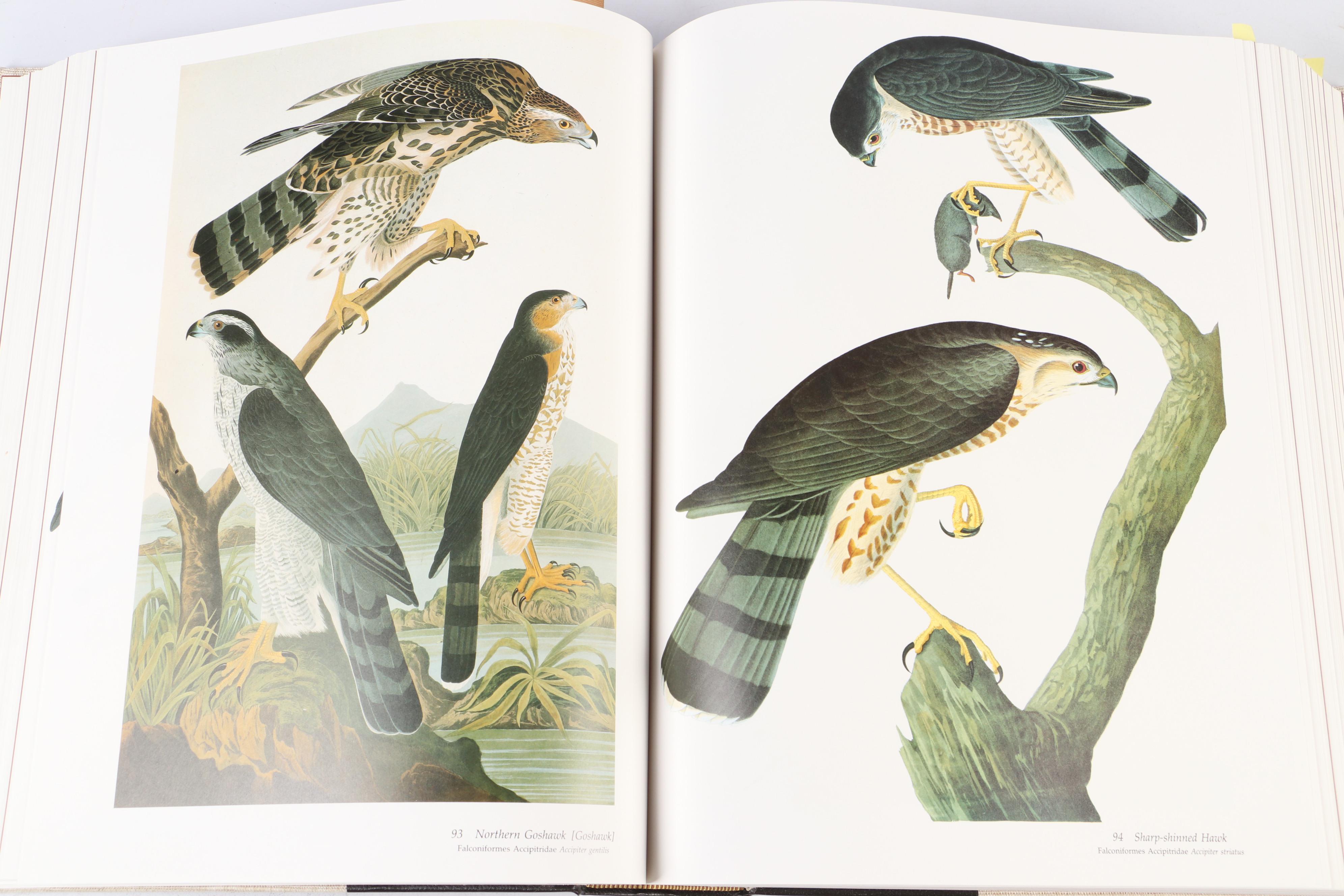 Audubon Society Baby Elephant Folio "Birds of America" by the Petersons, 1986