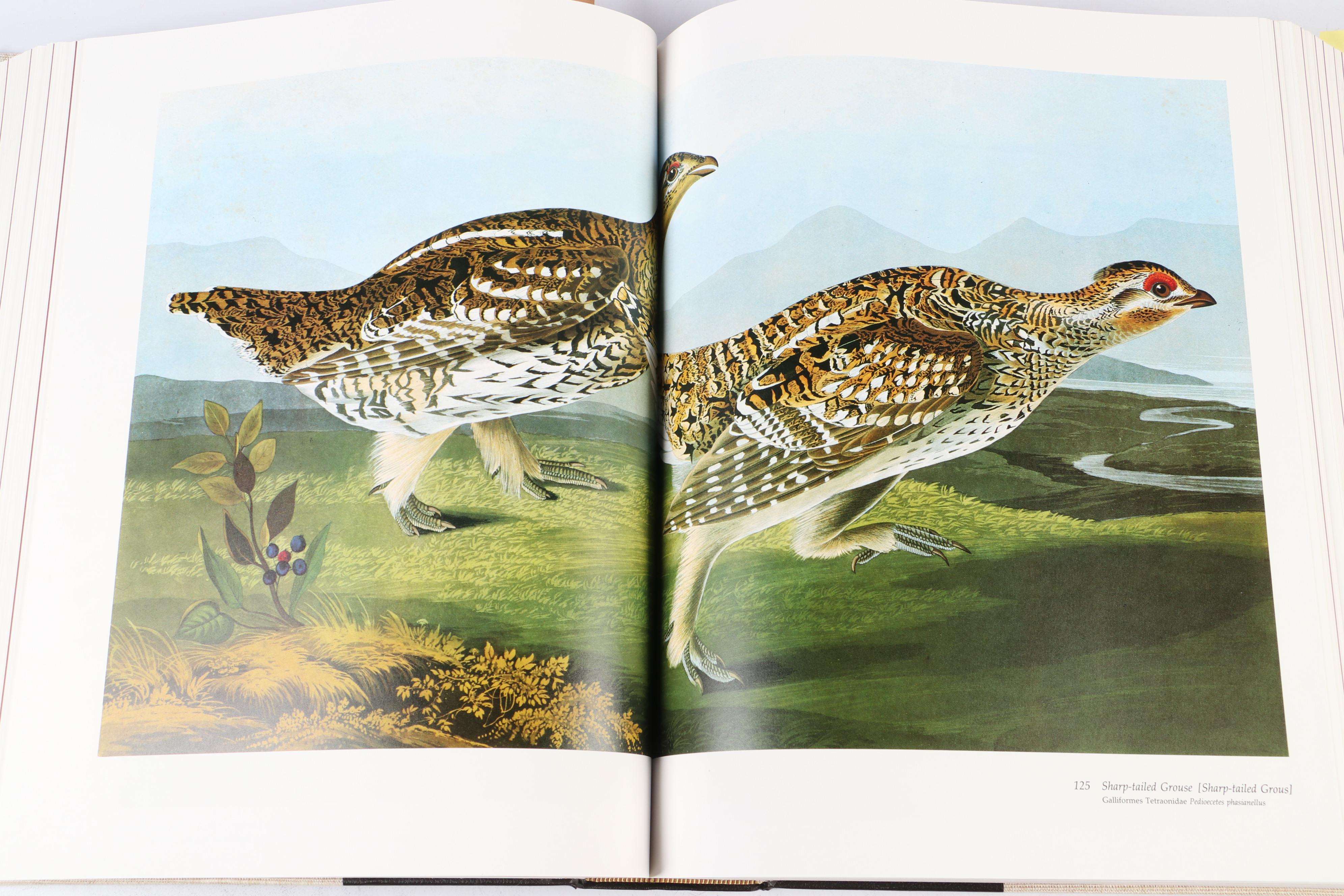 Audubon Society Baby Elephant Folio "Birds of America" by the Petersons, 1986