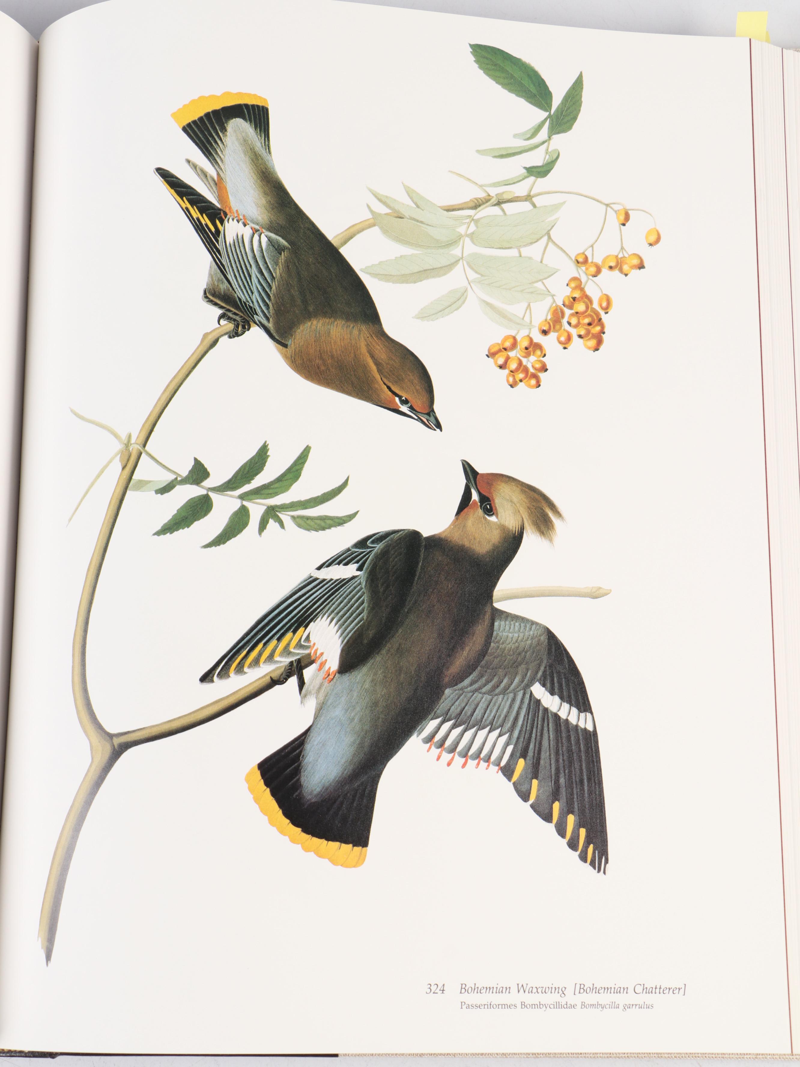 Audubon Society Baby Elephant Folio "Birds of America" by the Petersons, 1986