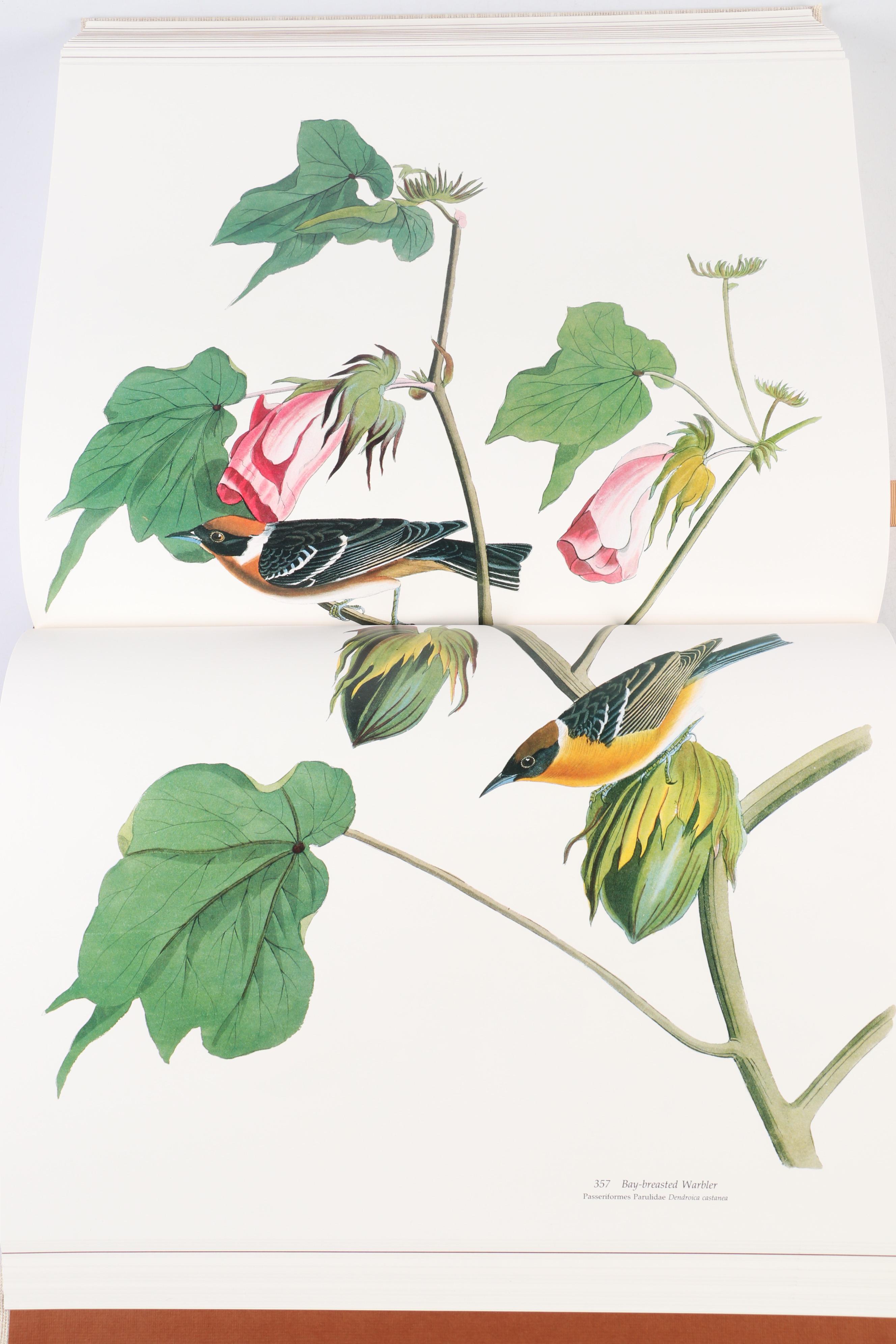 Audubon Society Baby Elephant Folio "Birds of America" by the Petersons, 1986