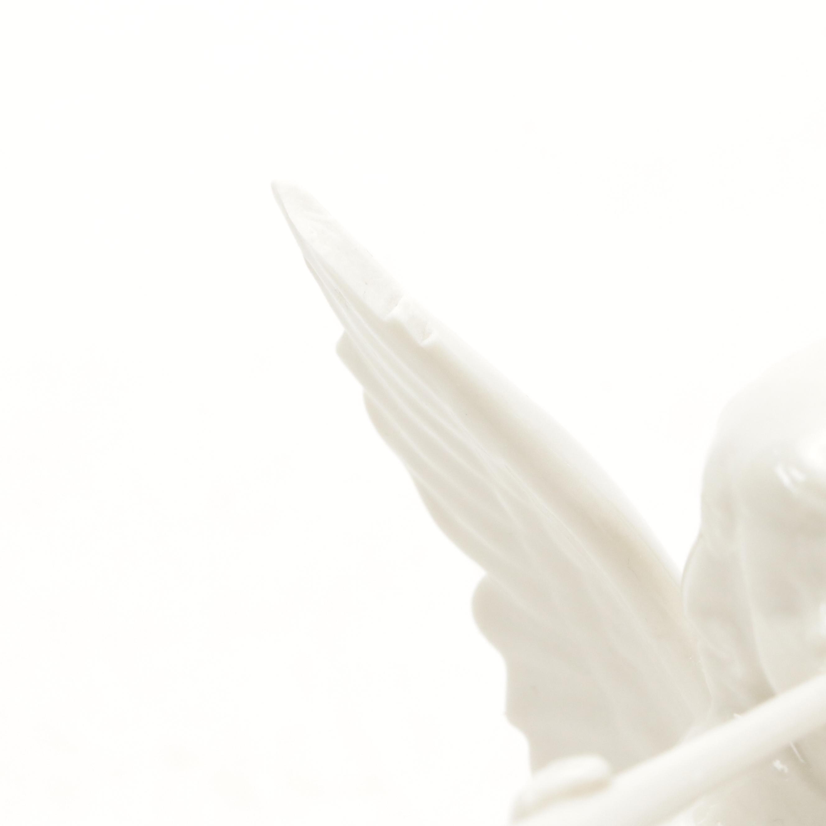 Dresden "Angel Musicians" Porcelain Figurines, Mid to Late 20th Century