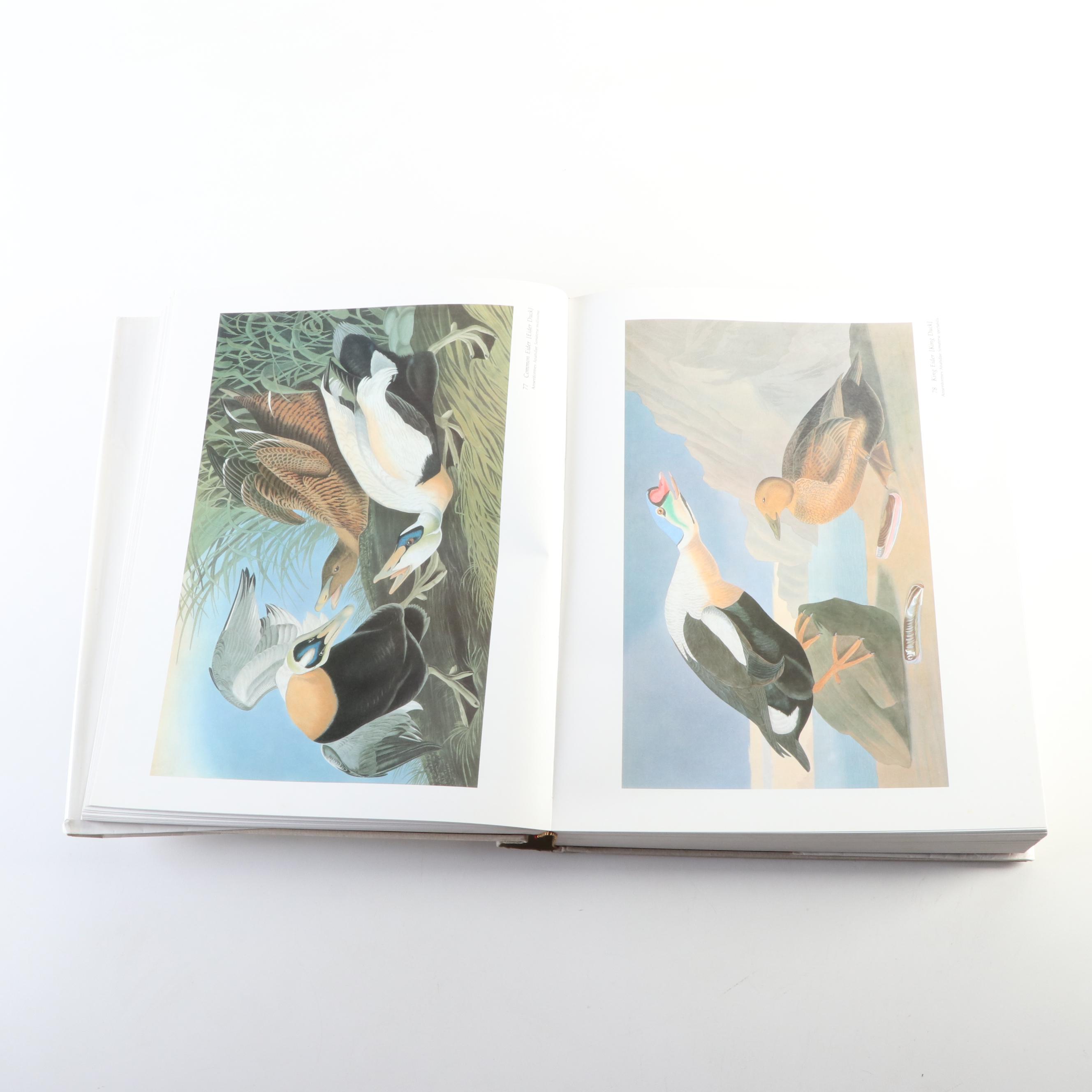 Baby Elephant Folio "Audubon's Birds of America" by the Petersons, 1985