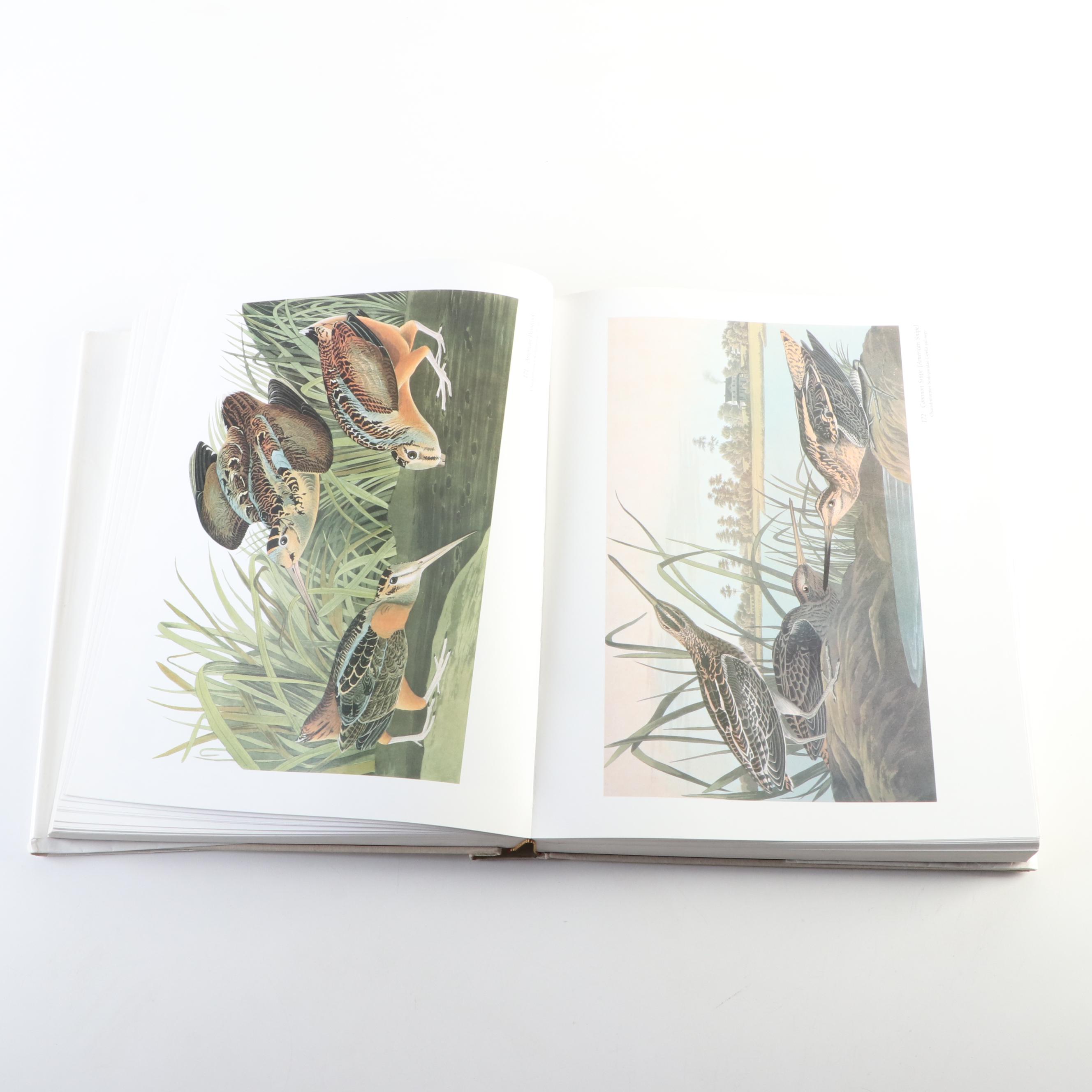 Baby Elephant Folio "Audubon's Birds of America" by the Petersons, 1985