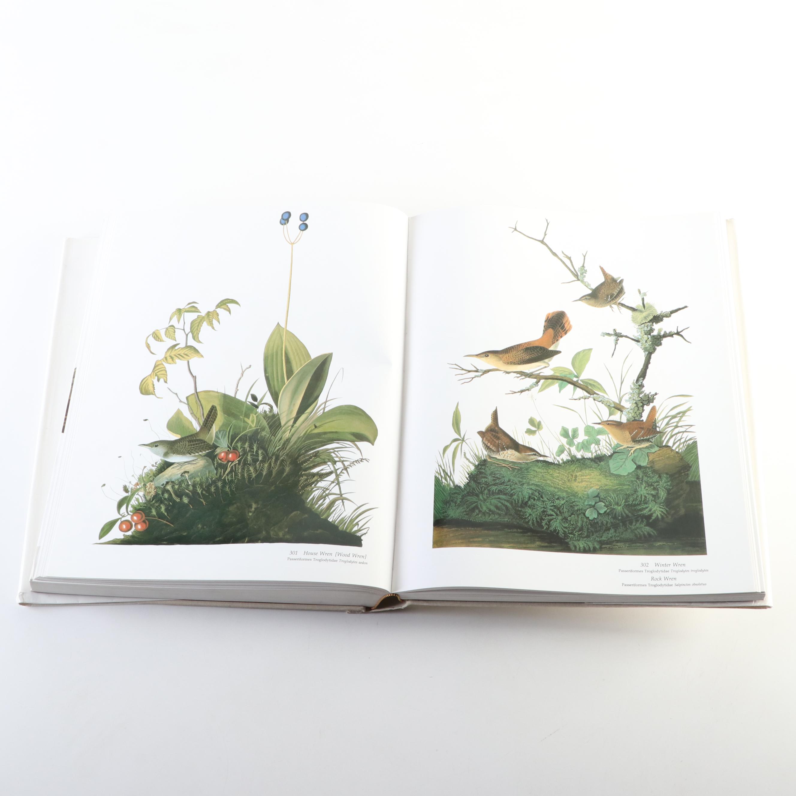 Baby Elephant Folio "Audubon's Birds of America" by the Petersons, 1985