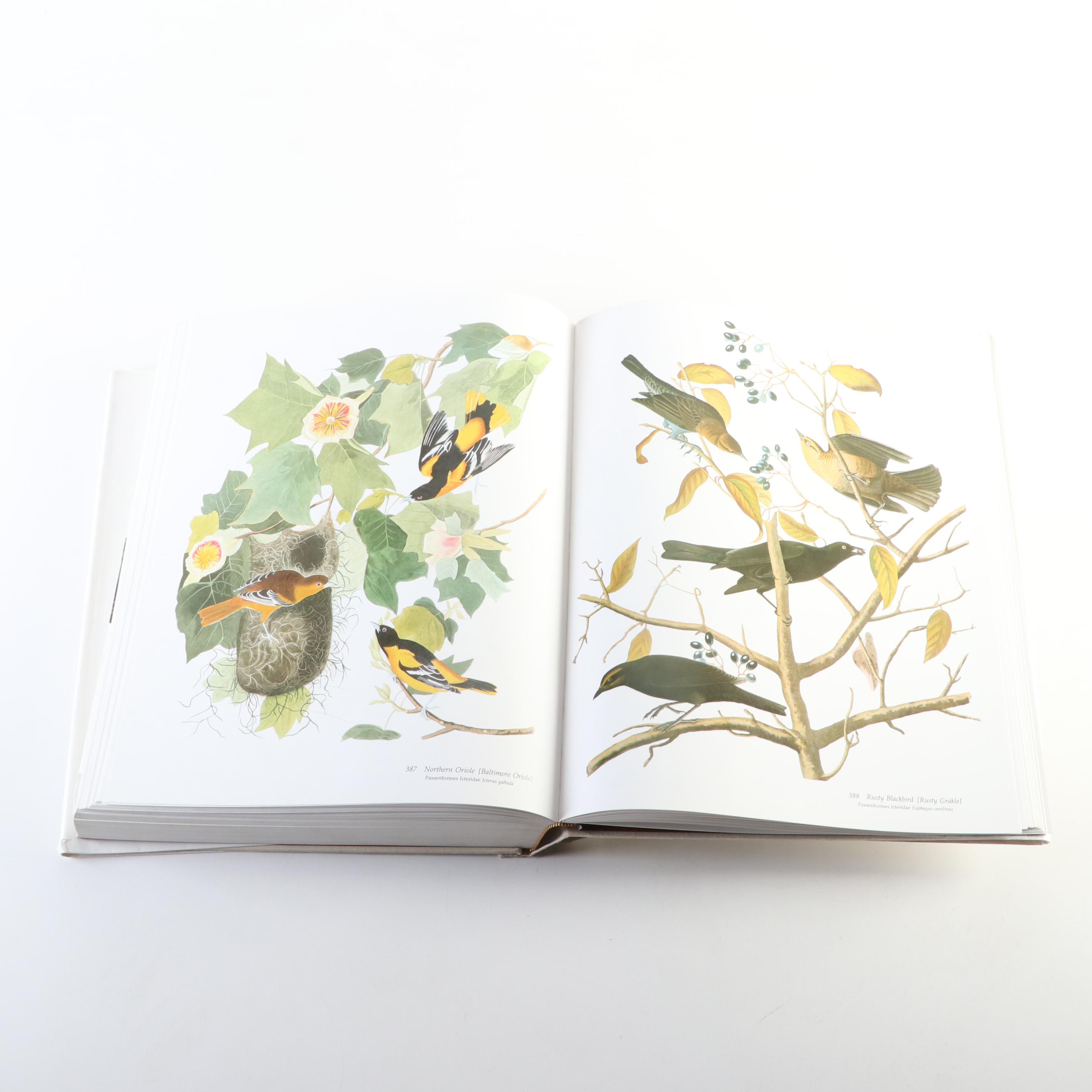 Baby Elephant Folio "Audubon's Birds of America" by the Petersons, 1985