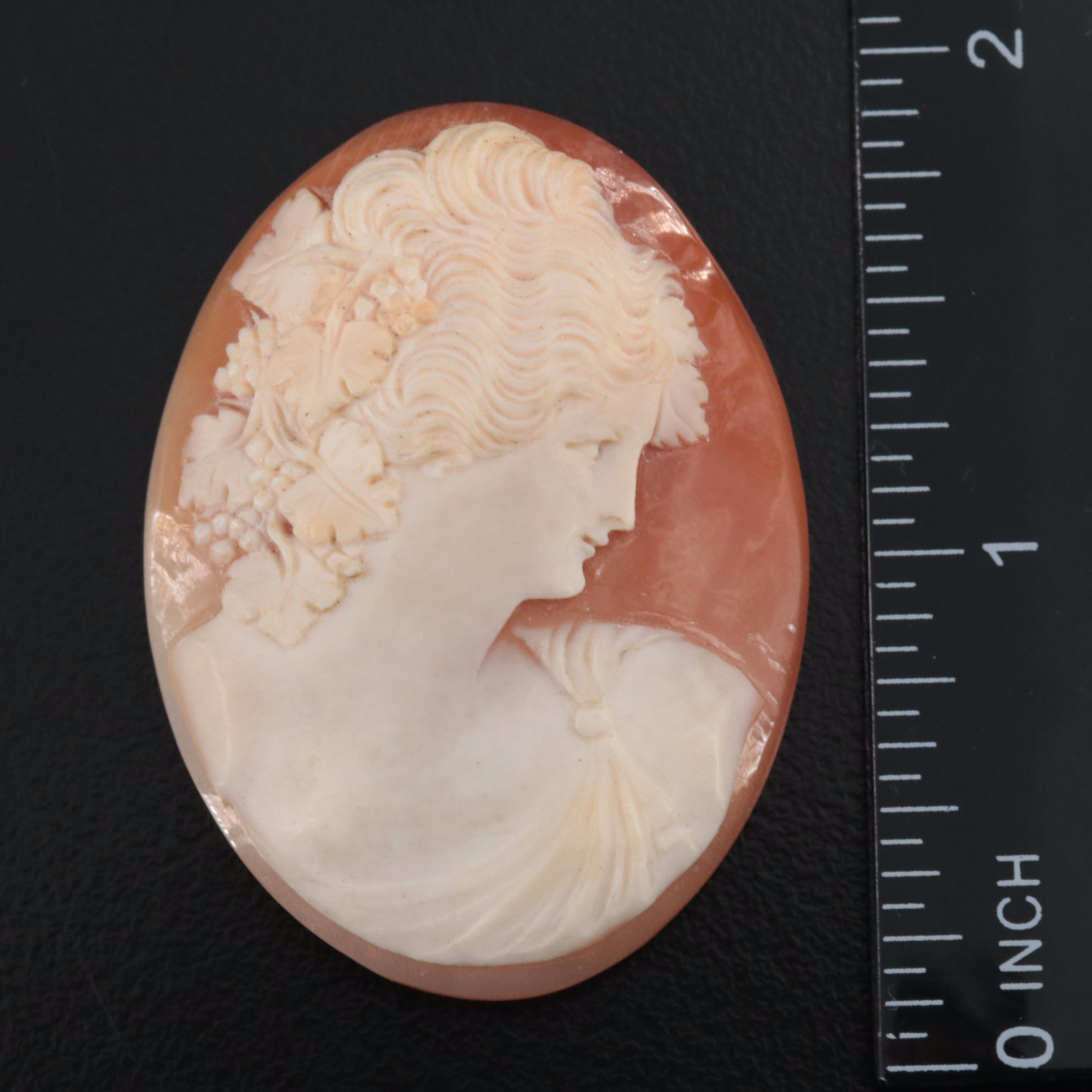 Loose Shell Cameos and Carved Coral