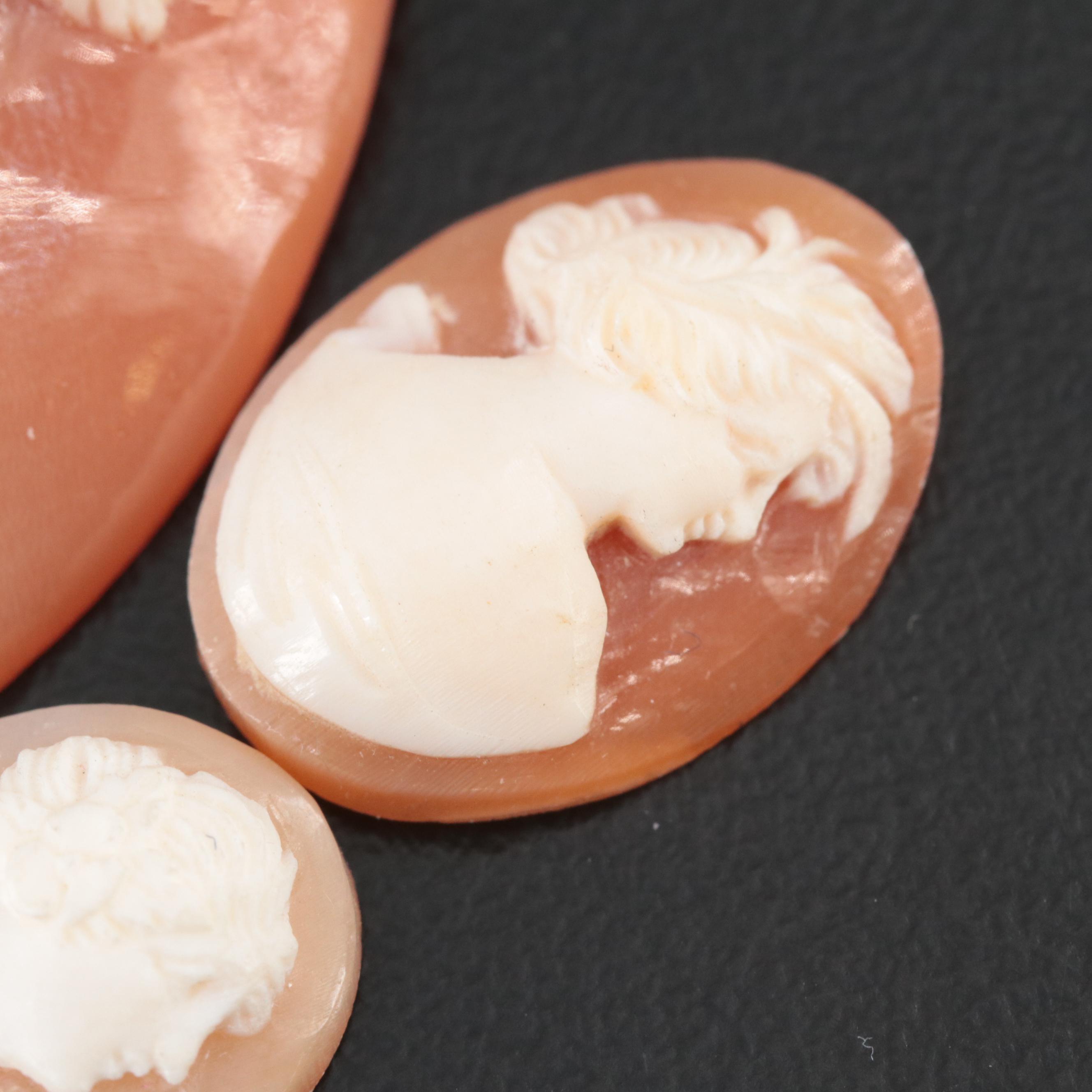 Loose Shell Cameos and Carved Coral