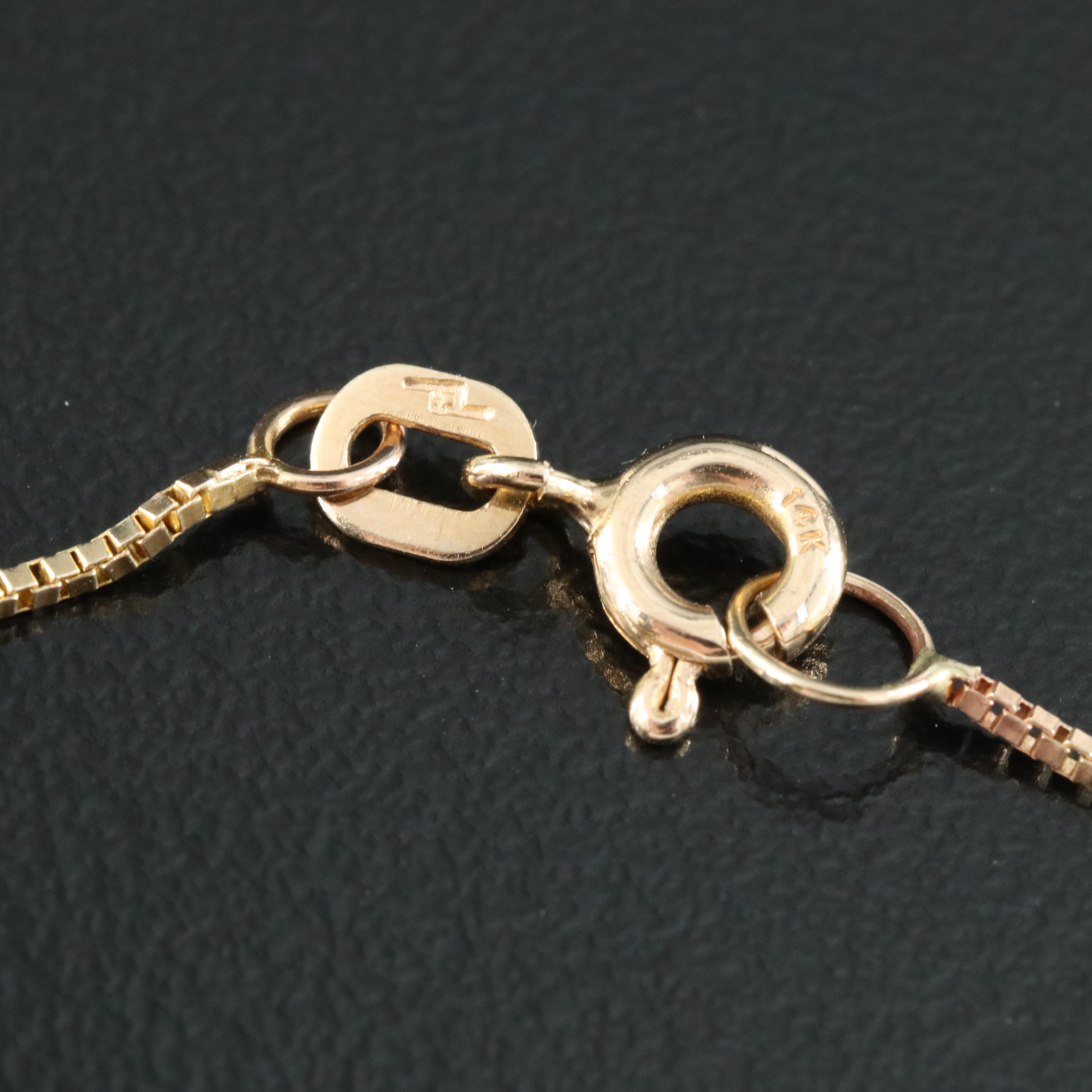 Antique Tortoise Shell Locket with 10K Details and 14K Box Chain