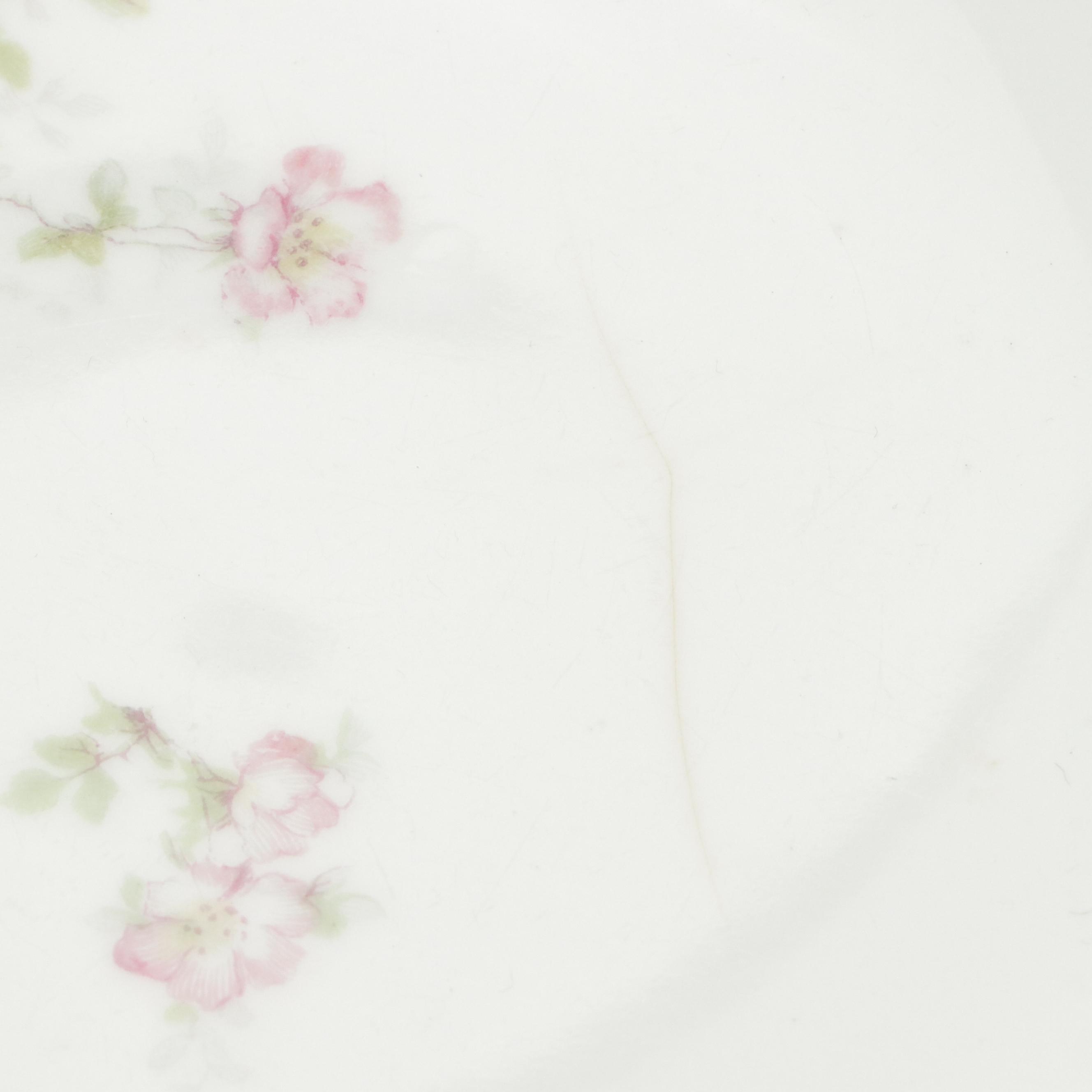 Haviland, Fritz Thomas, and More Ceramic and Porcelain Tableware