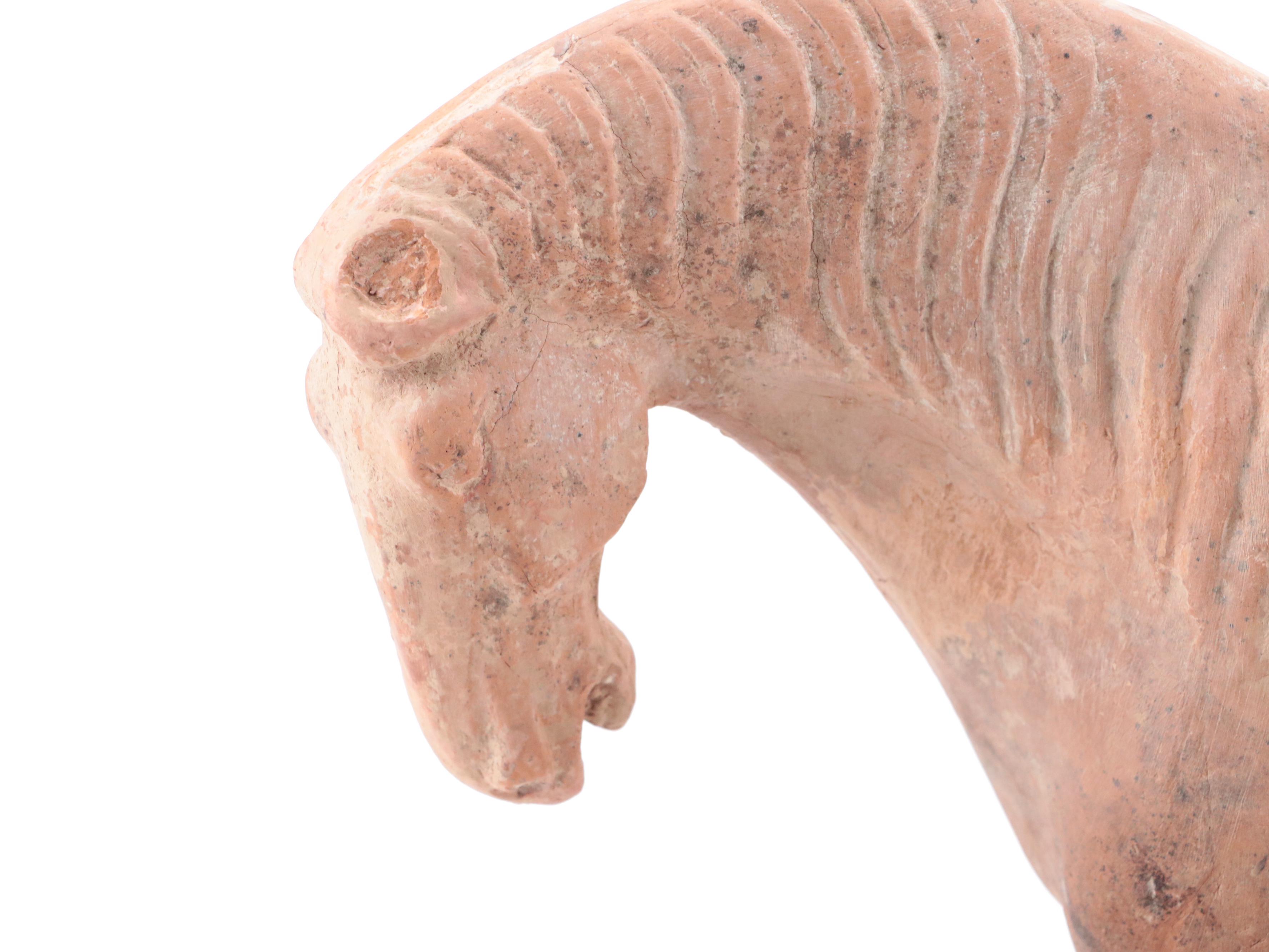 Chinese Tang Dynasty Style Terracotta Horse