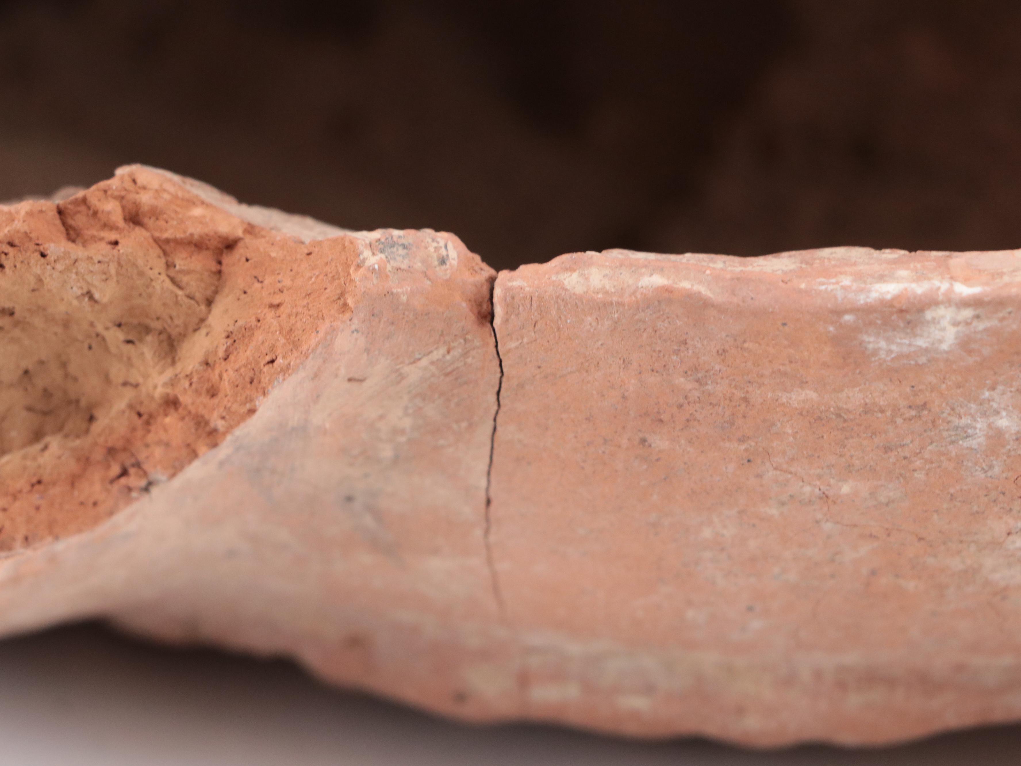 Chinese Tang Dynasty Style Terracotta Horse