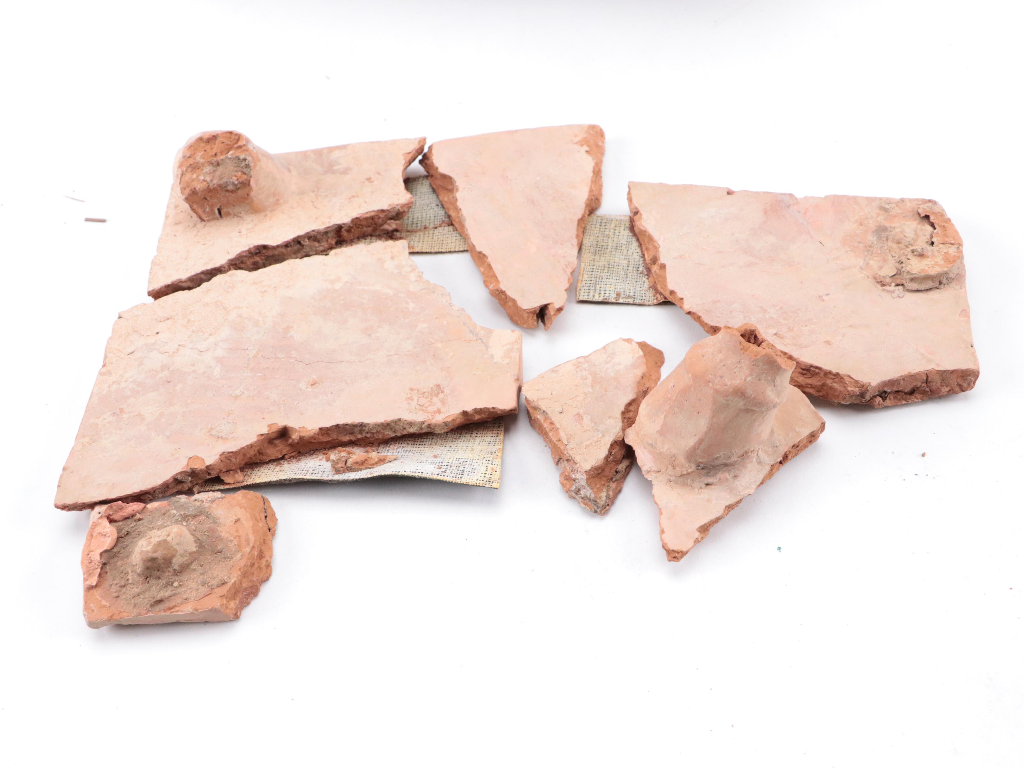 Chinese Tang Dynasty Style Terracotta Horse