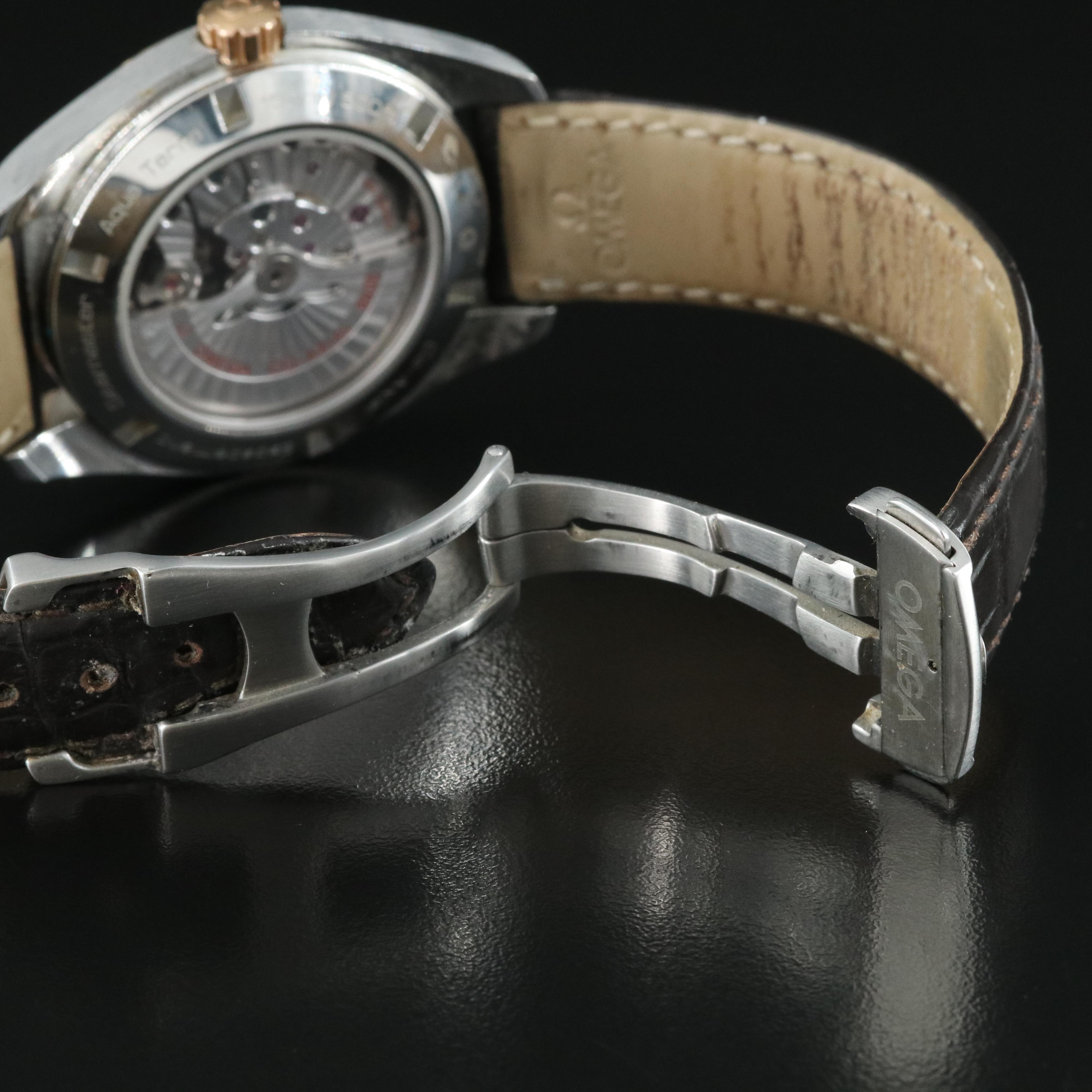 Omega Seamaster Aqua Terra GMT Watch