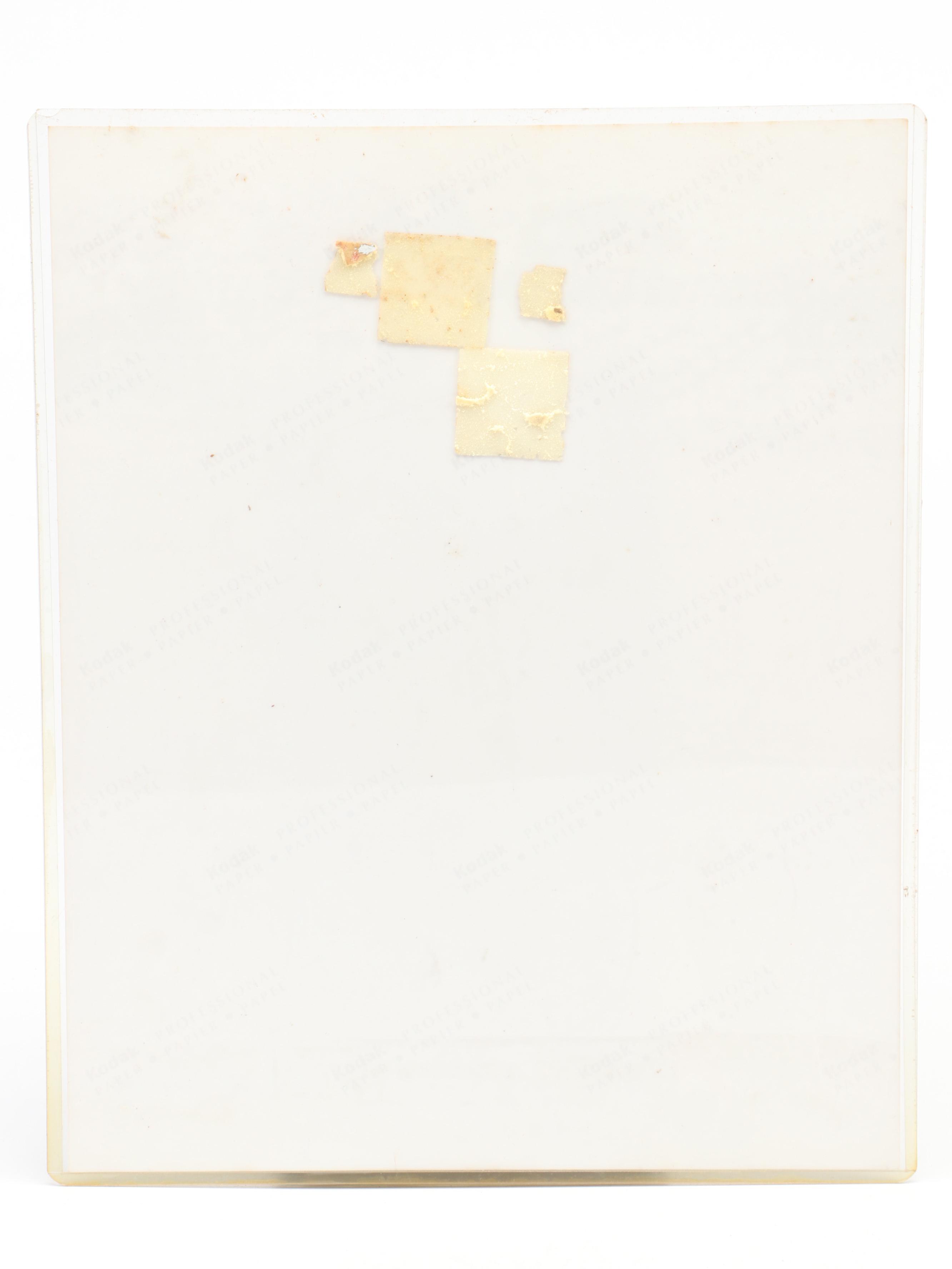 Ted Williams Signed Boston Red Sox Baseball Print