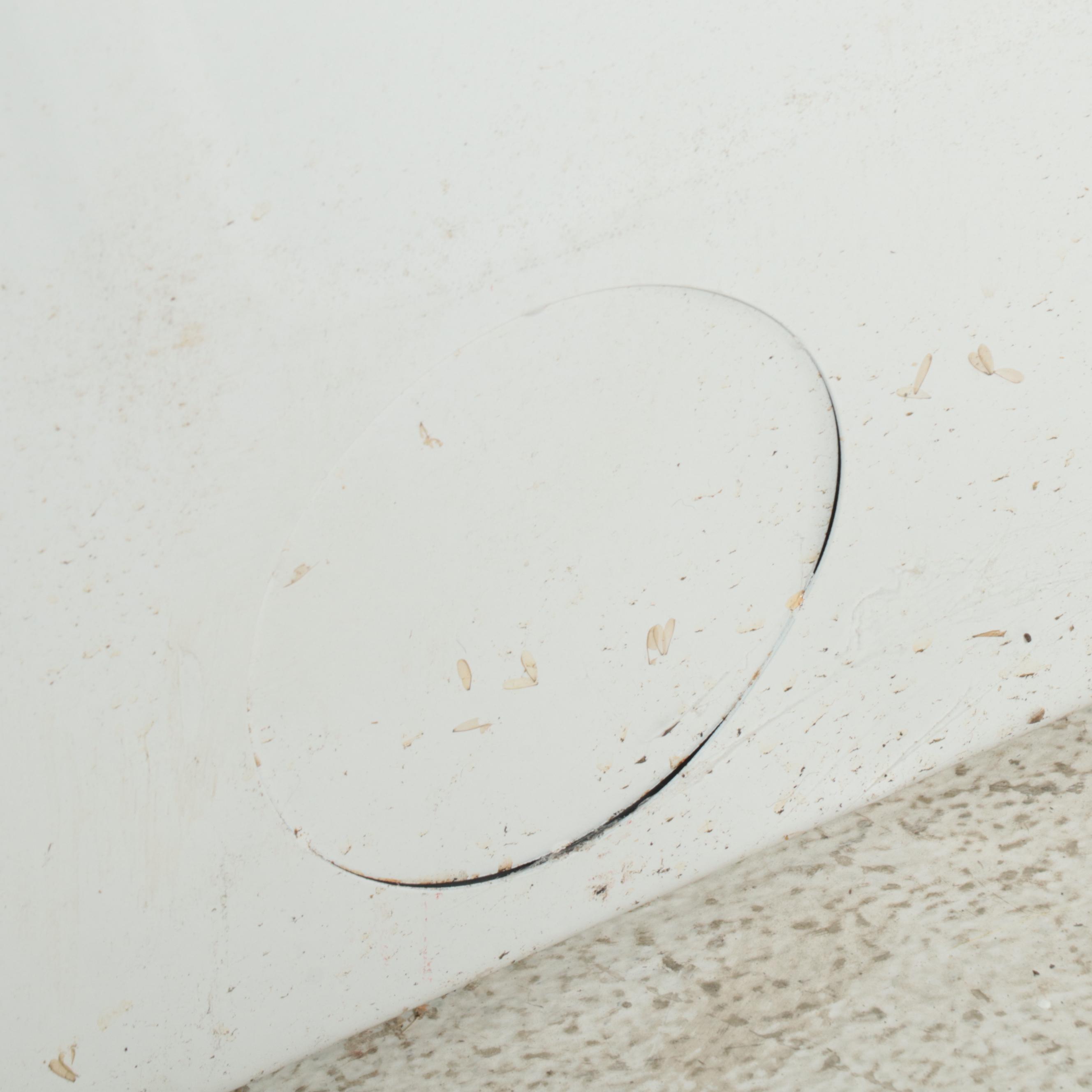 Whirlpool 7.4 Cu. Ft. White Gas Powered Dryer