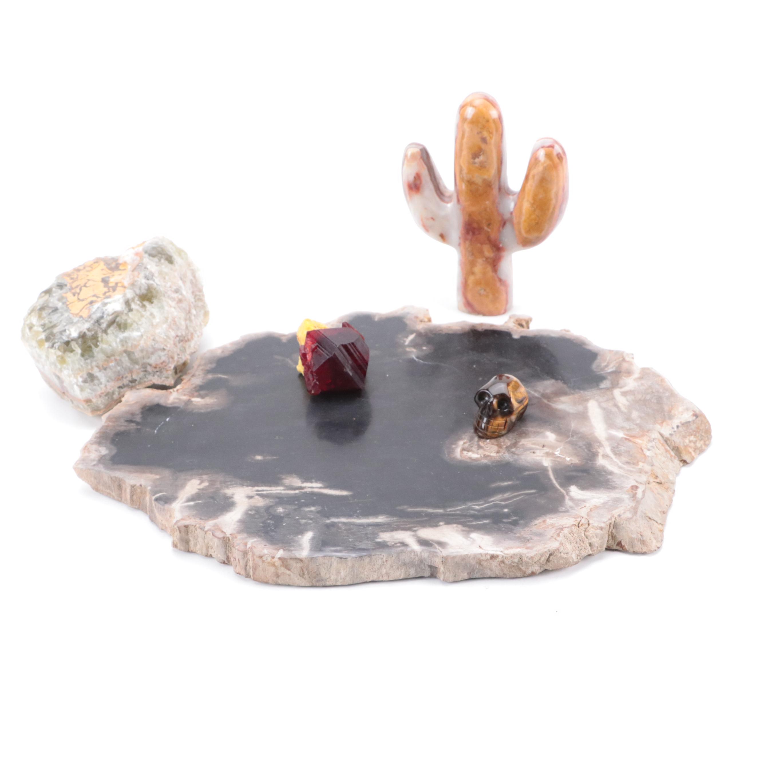 Petrified Wood Slab, Banded Calcite Carved Cactus, Tiger's Eye Skull, Pruskite