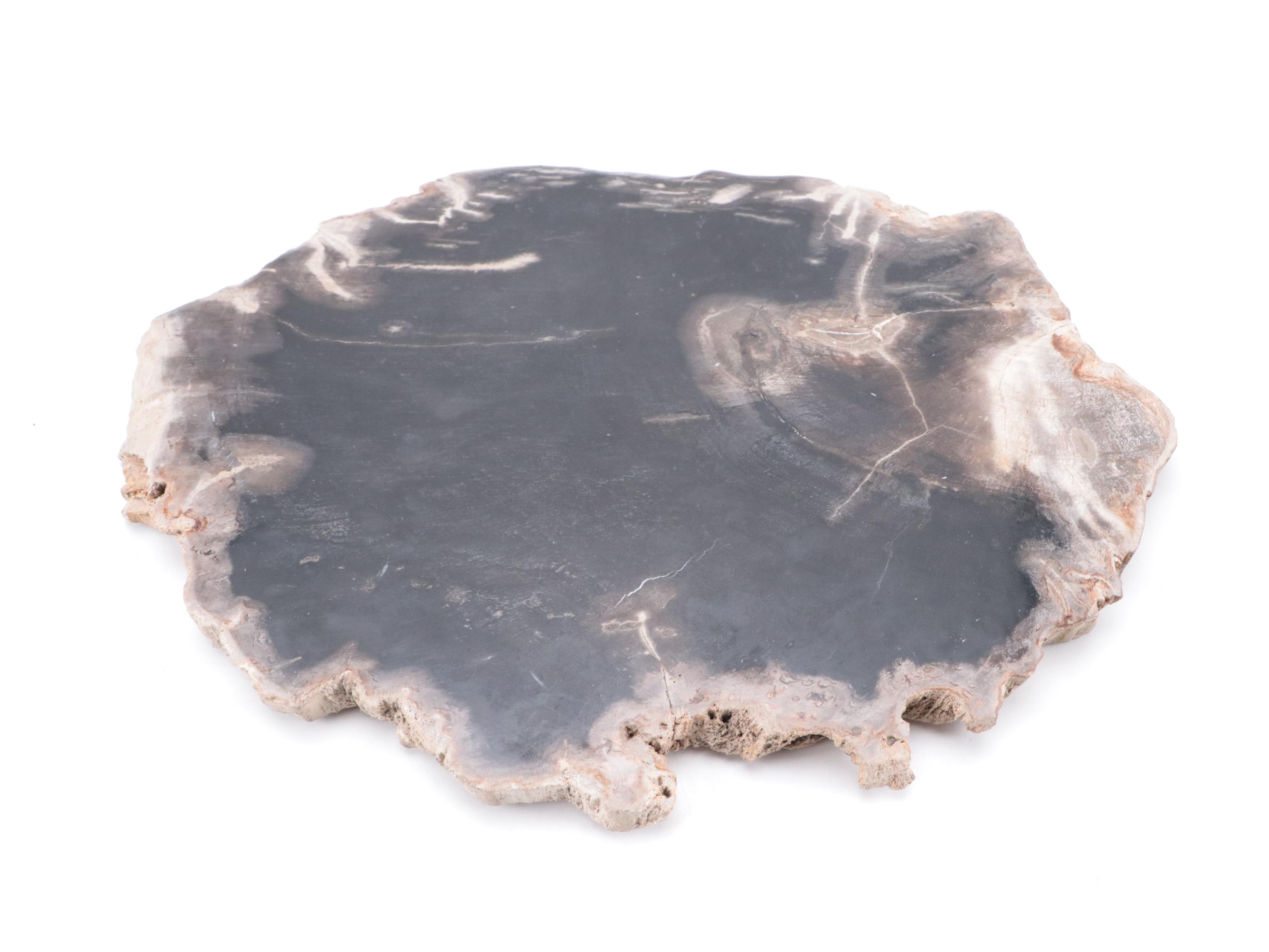 Petrified Wood Slab, Banded Calcite Carved Cactus, Tiger's Eye Skull, Pruskite