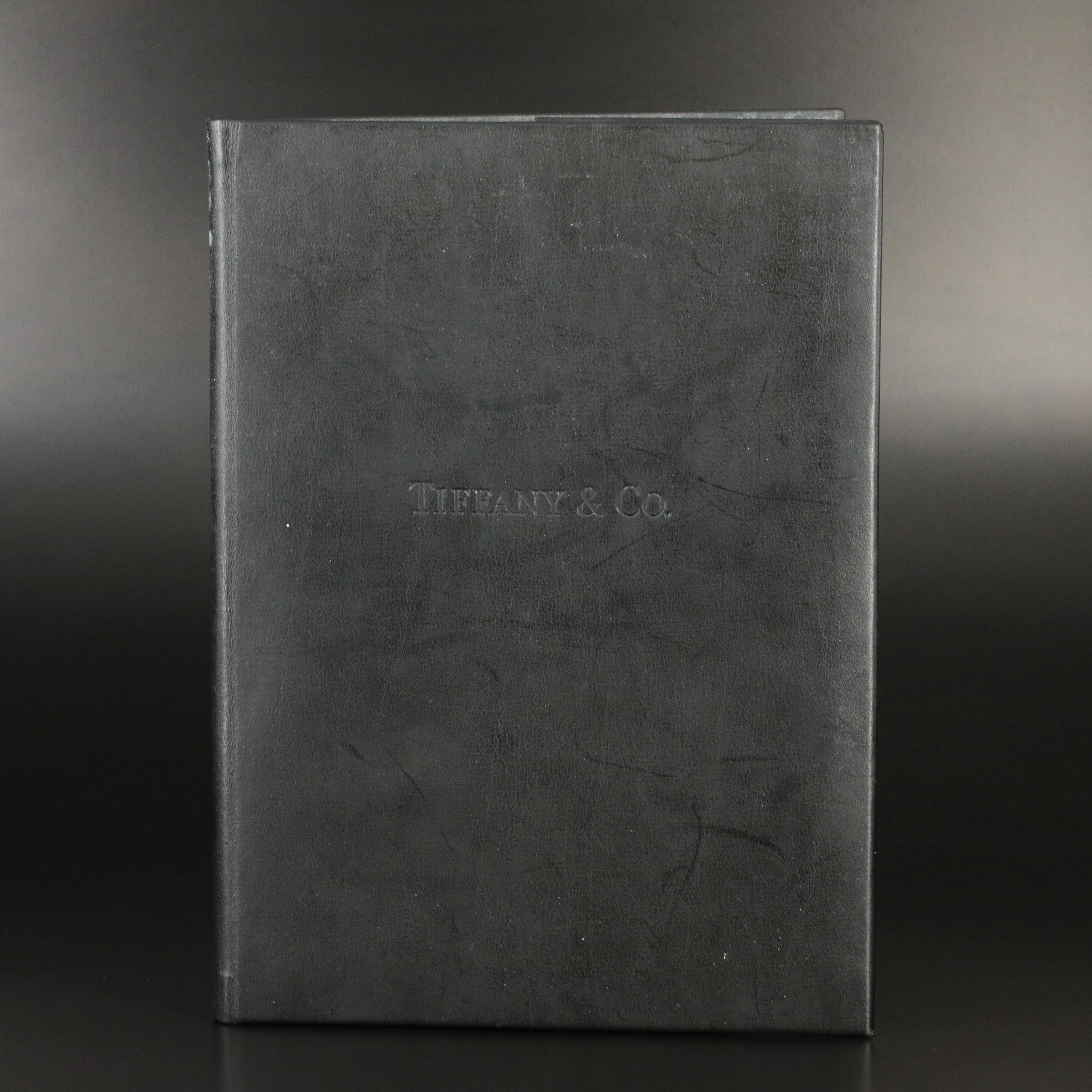 Tiffany & Co. Platinum 0.41 CT Diamond Necklace with Tiffany Certificate