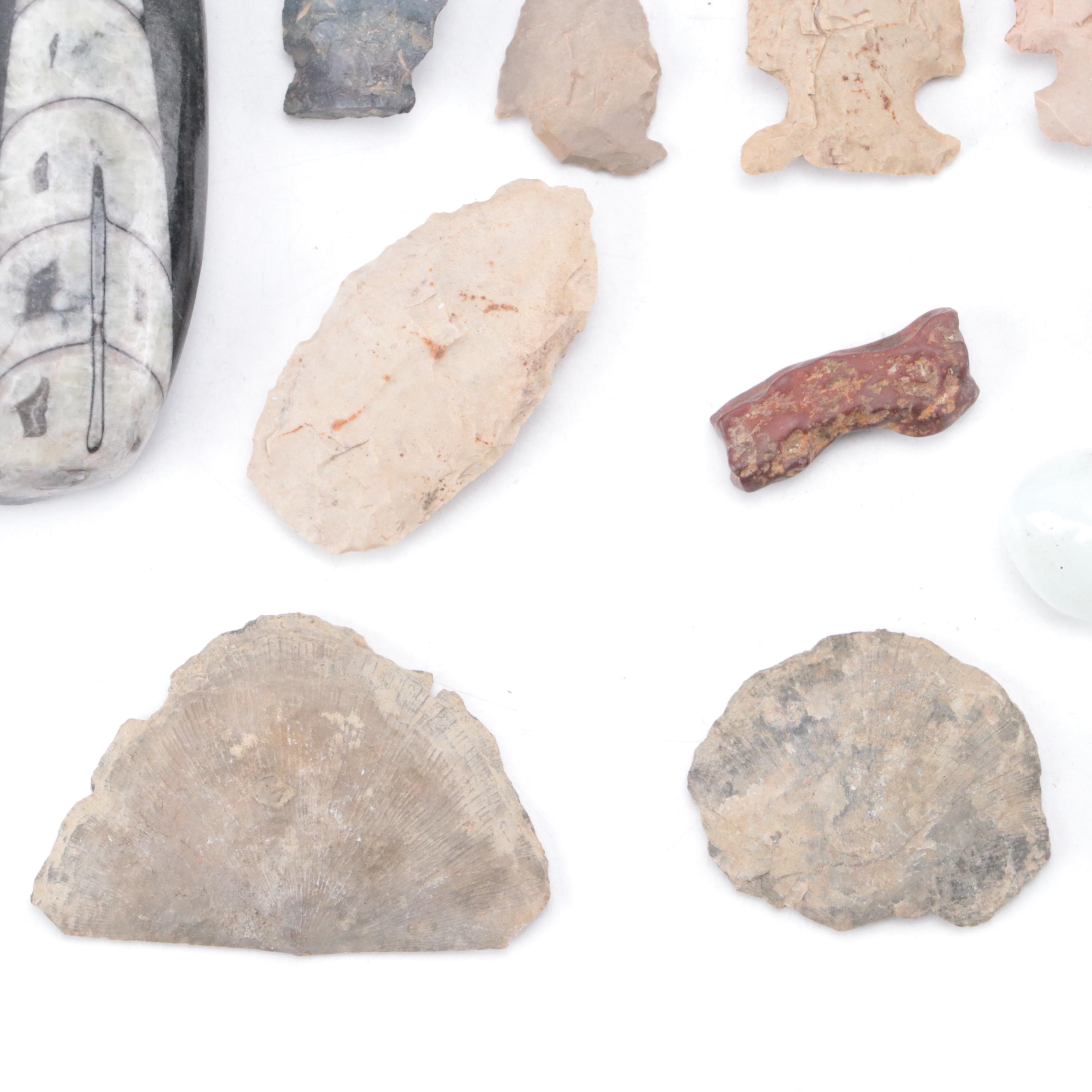 Knapped Stone Projectile Points With Polished Orthoceras