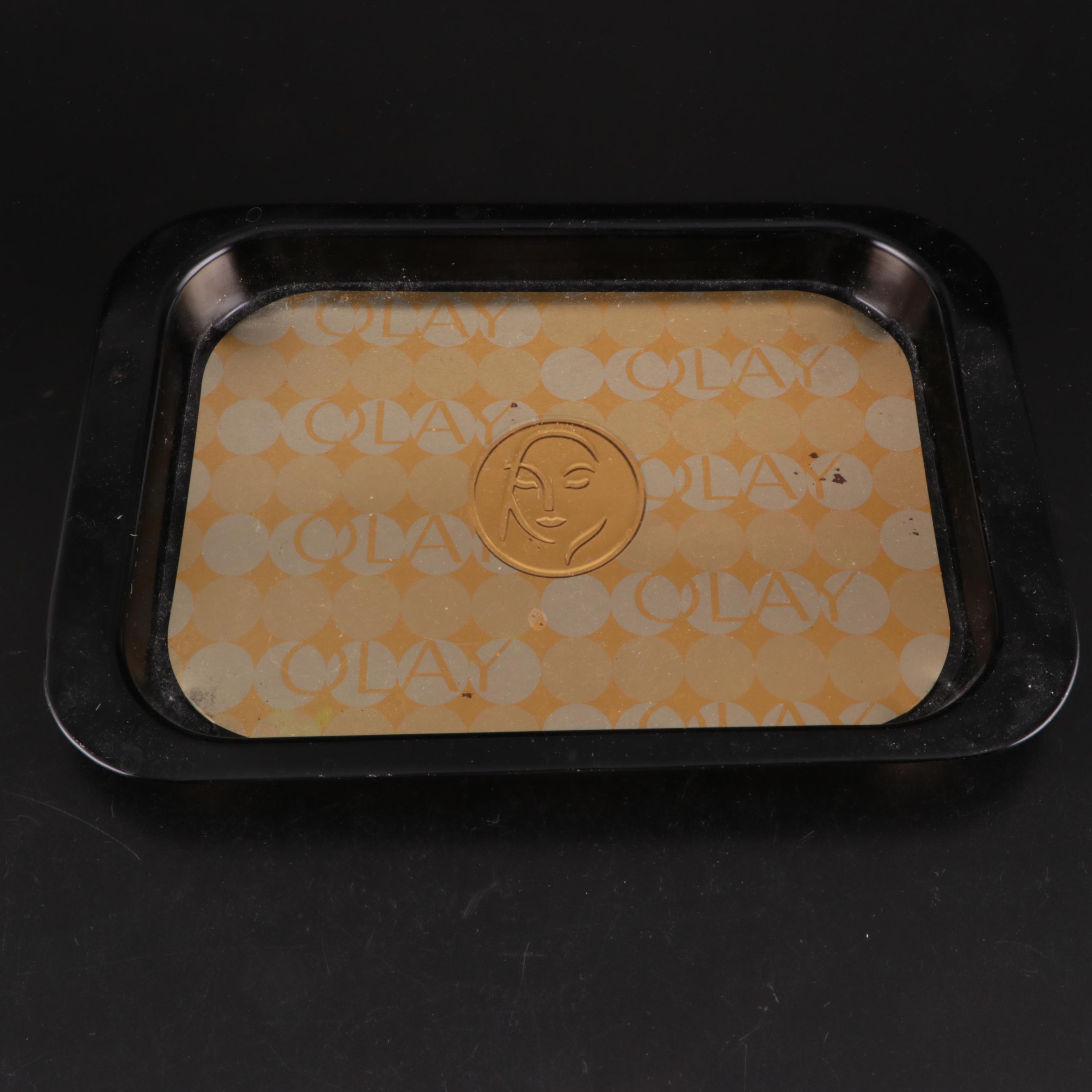 Lightning Whelk, Starfish, Sand Dollars, Turbo and Clam Shells, Fossil Coral