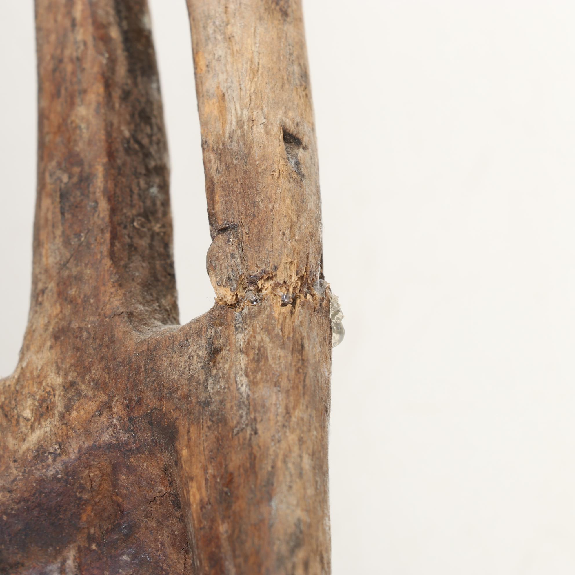 African Bamana Ntomo Style Carved Wood Mask