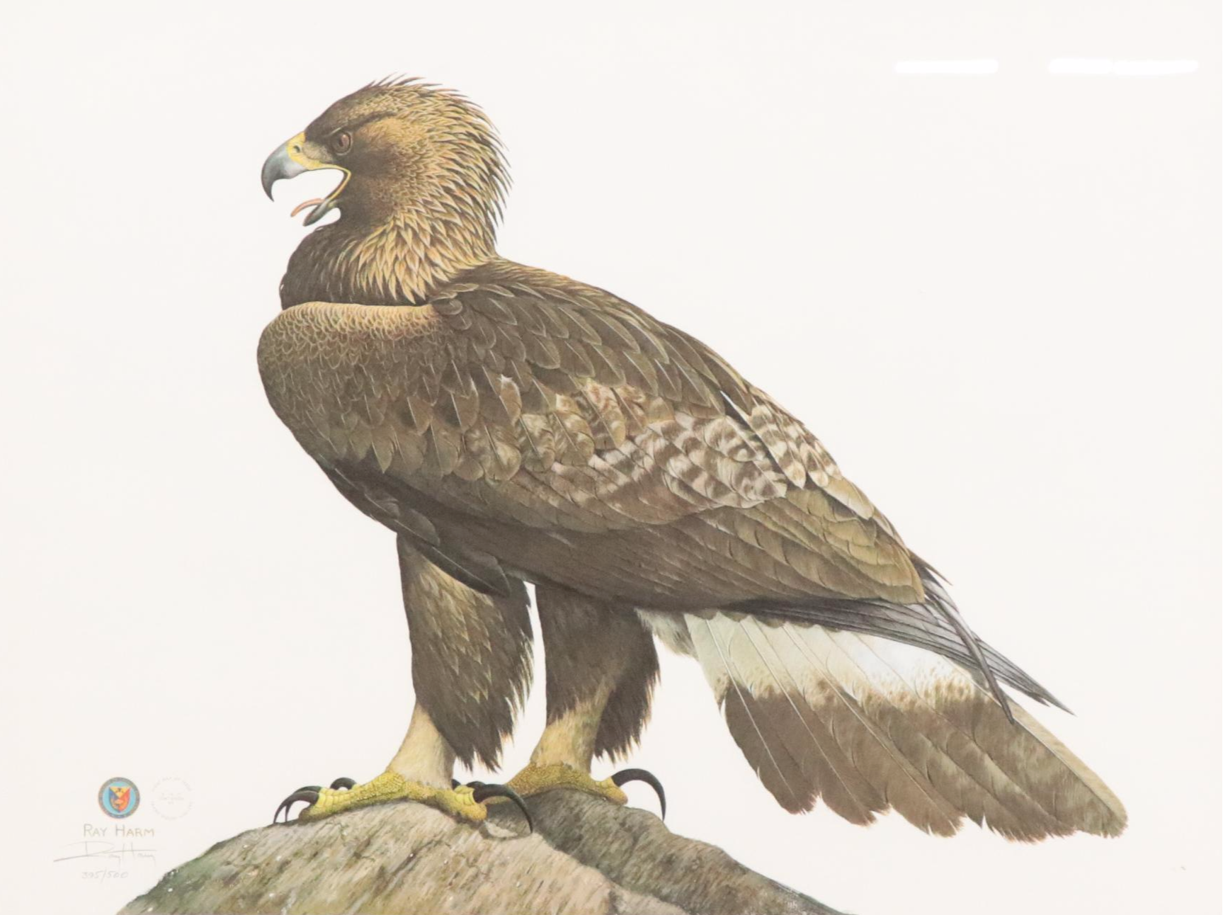 Ray Harm Offset Lithograph of Golden Eagle, 1999