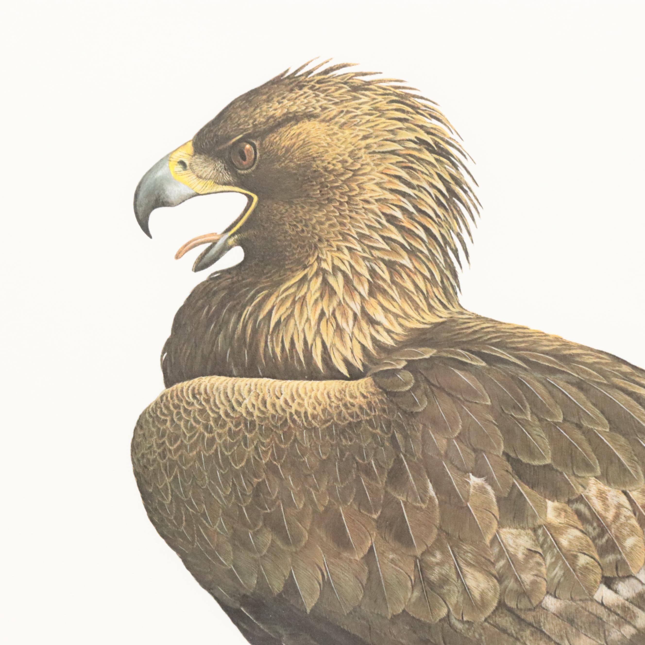 Ray Harm Offset Lithograph of Golden Eagle, 1999