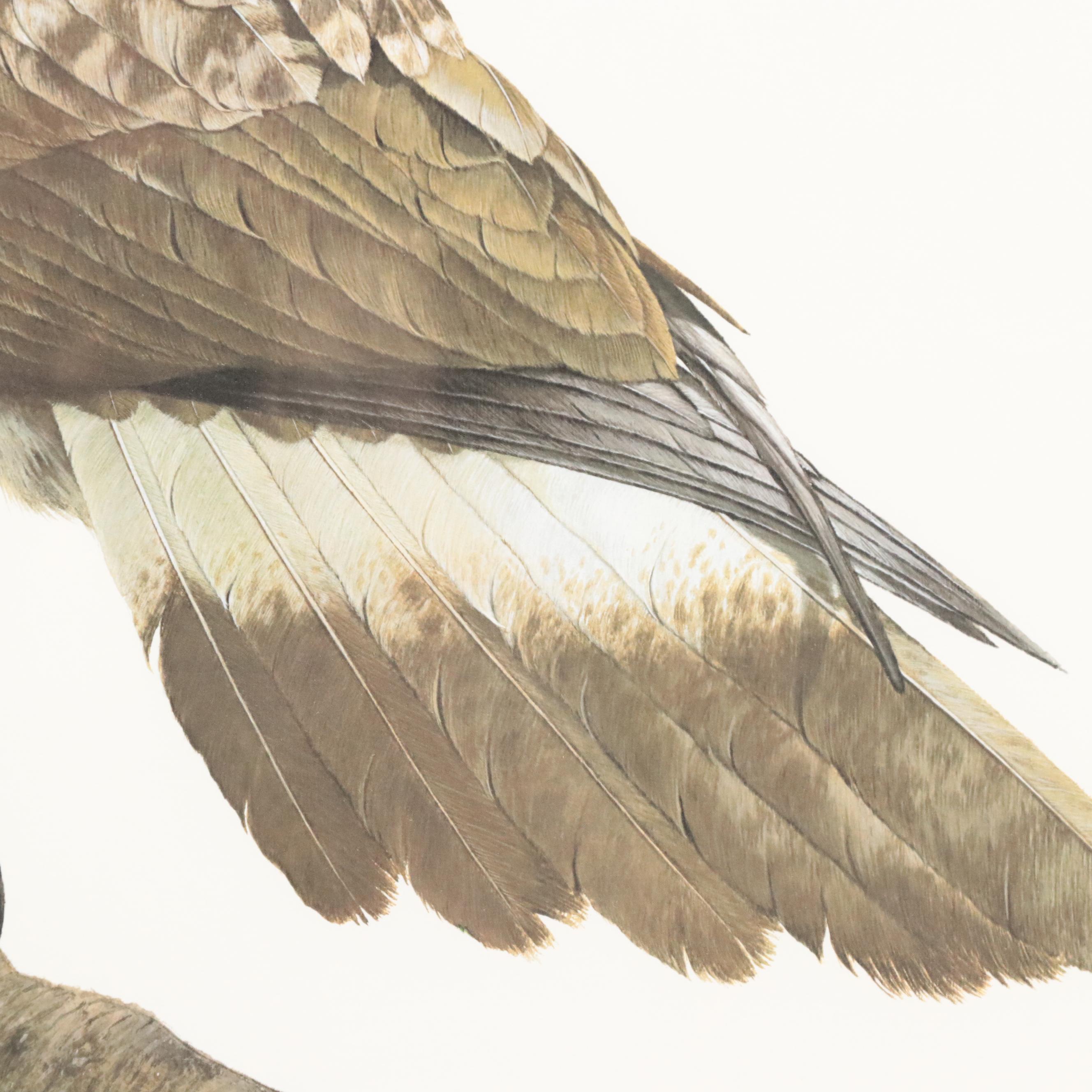 Ray Harm Offset Lithograph of Golden Eagle, 1999