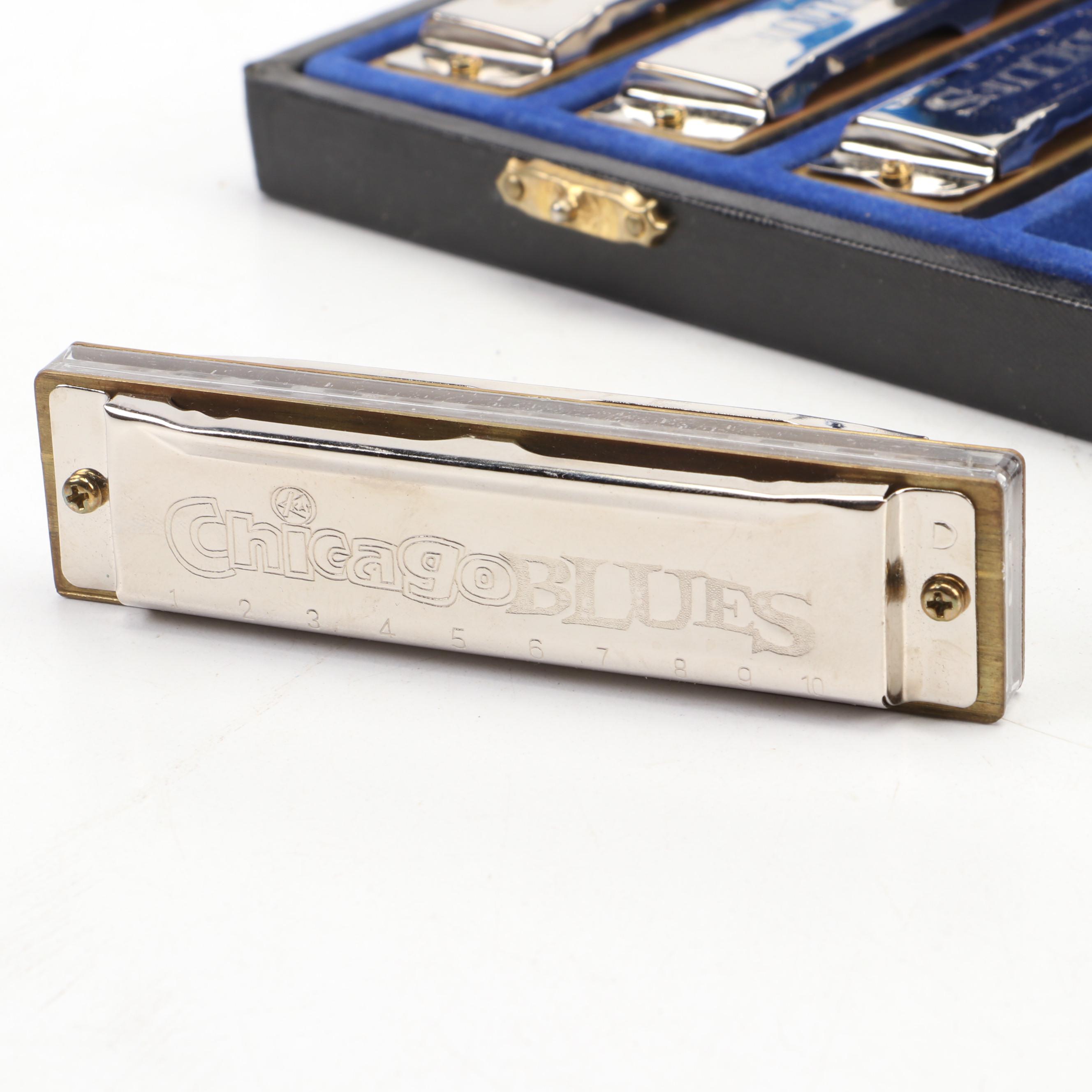 Chicago Blues Harmonica Set with Song Book and Magnus Accordion