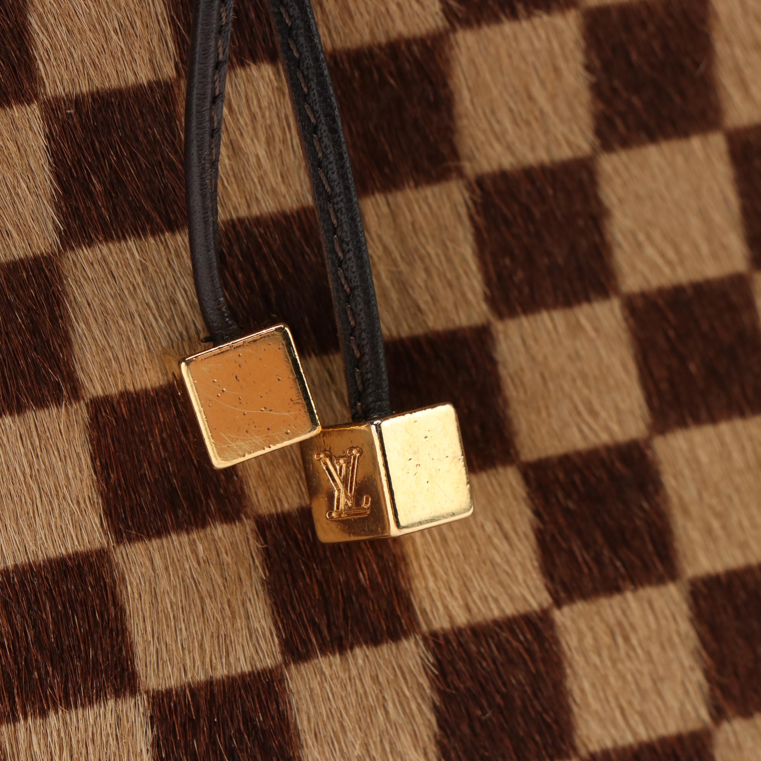 Louis Vuitton Limited Edition Lionne Bag in Damier Sauvage Calf Hair and Leather