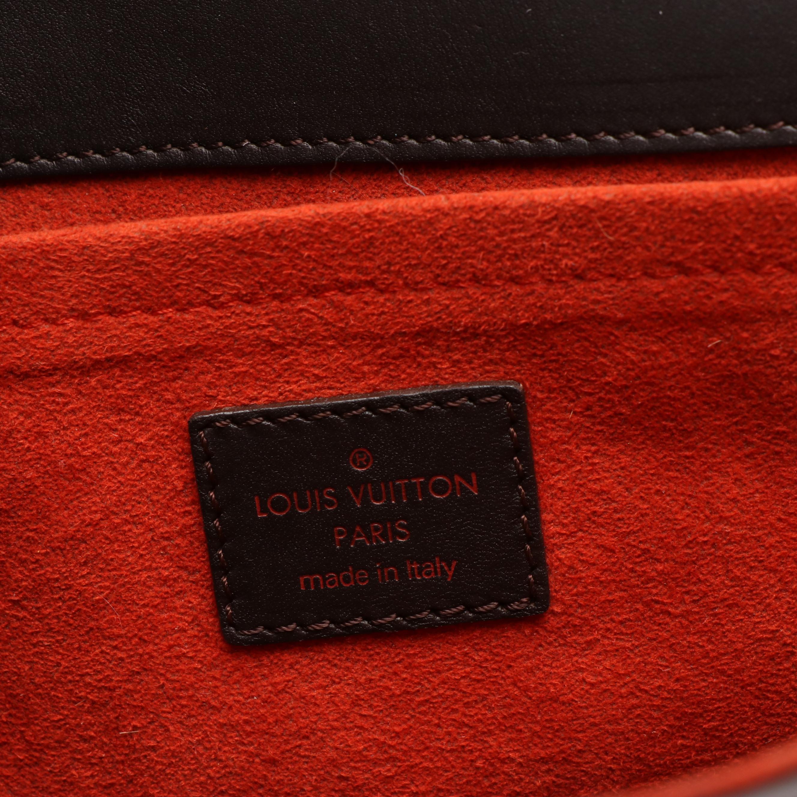 Louis Vuitton Limited Edition Lionne Bag in Damier Sauvage Calf Hair and Leather