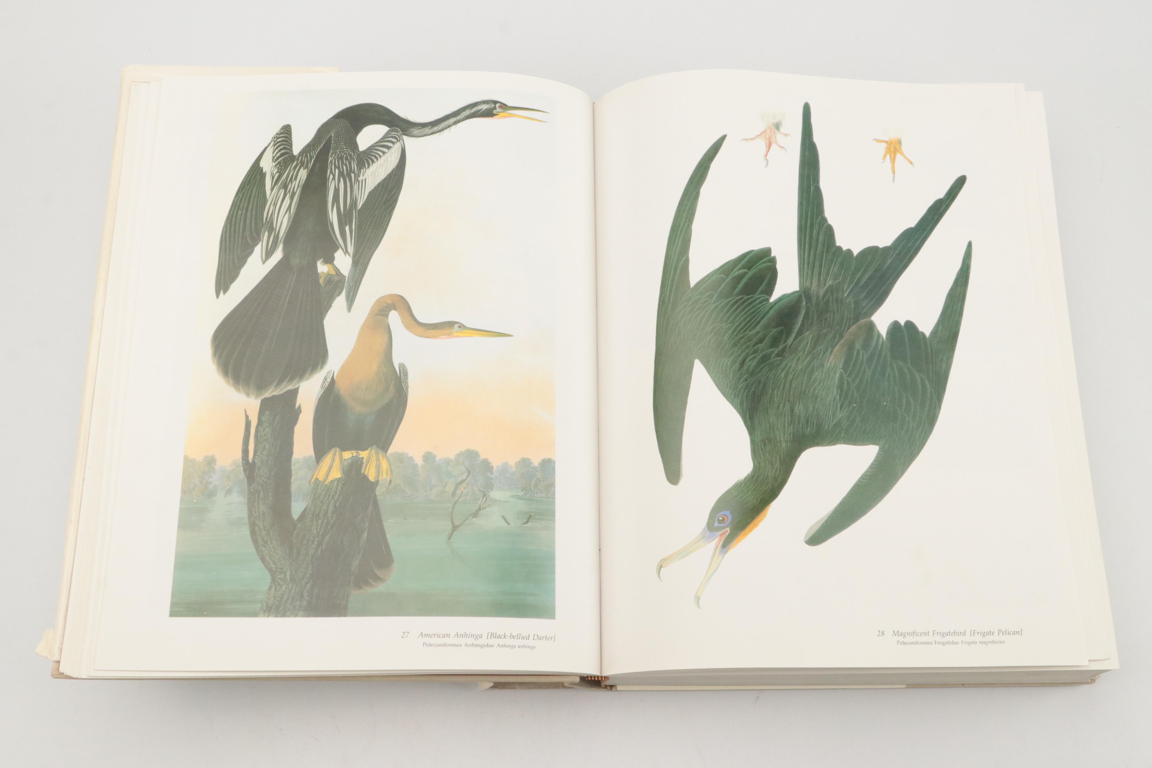 "Audubon's Birds of America" by Roger Tory & Virginia Marie Peterson, 1986