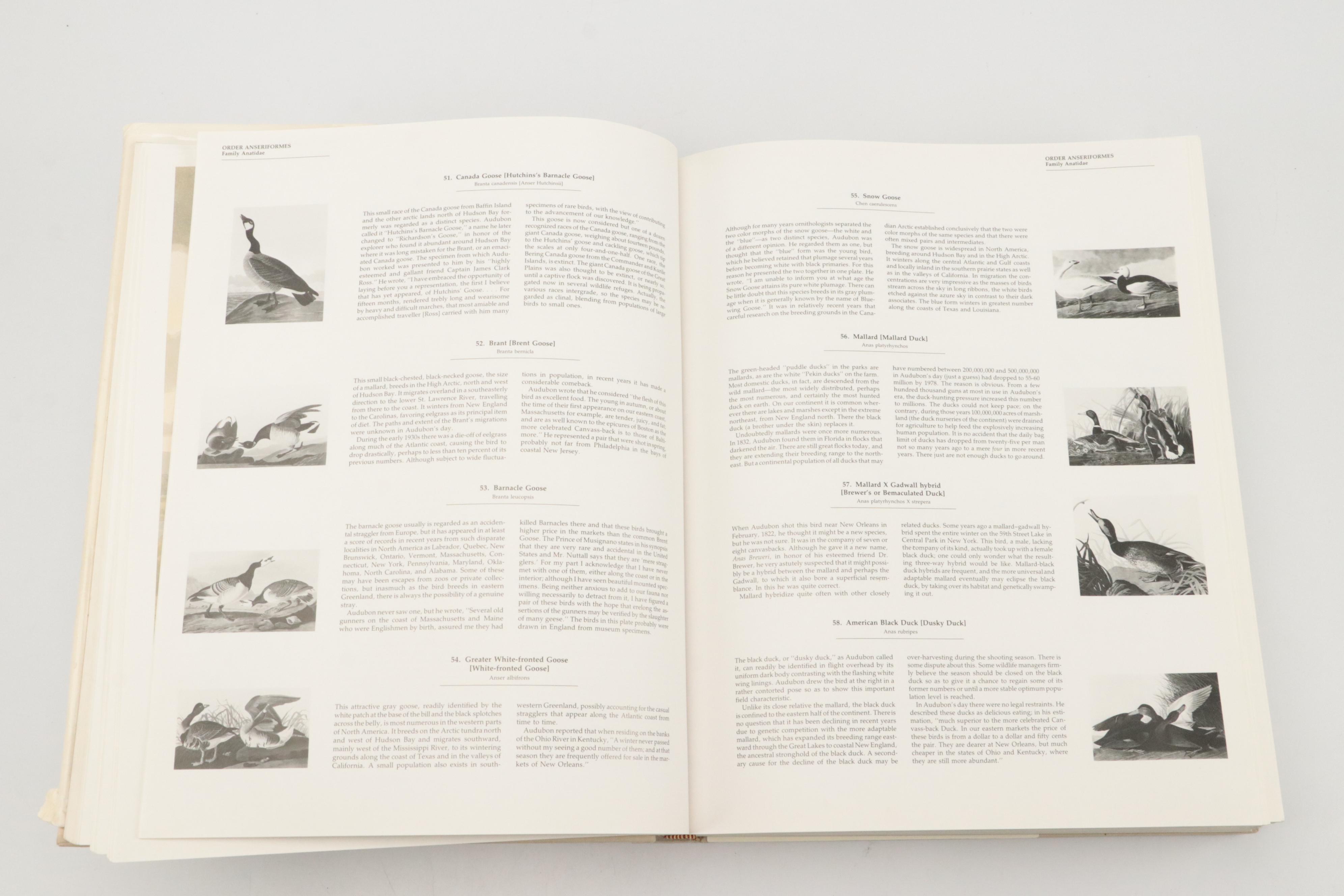 "Audubon's Birds of America" by Roger Tory & Virginia Marie Peterson, 1986