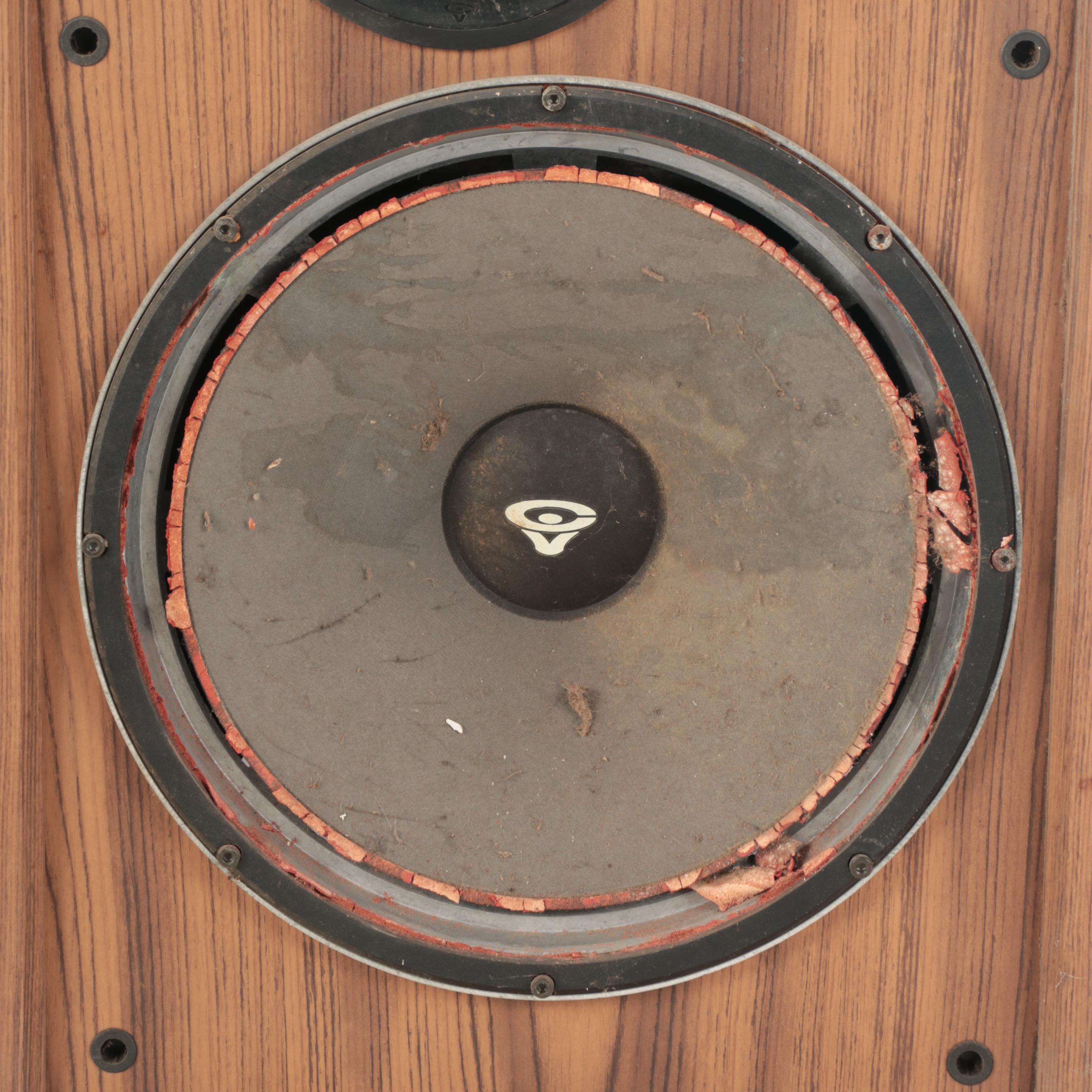 Cerwin-Vega! VS Series VS-150 and DX Series DX-9 Speakers, Mid to Late 20th C.