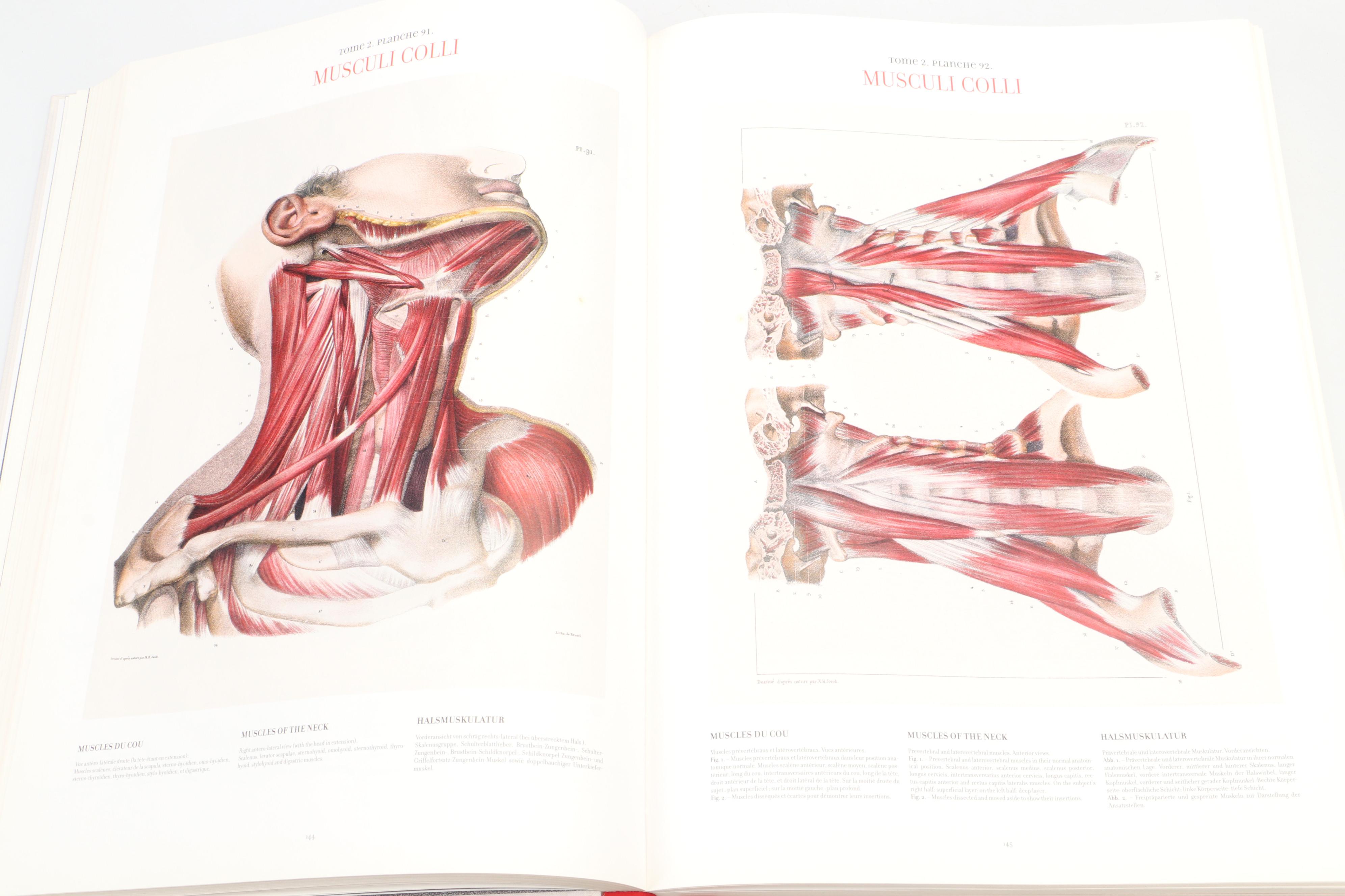 "Atlas of Human Anatomy and Surgery" by J. M. Bourgery and N. H. Jacob, 2005