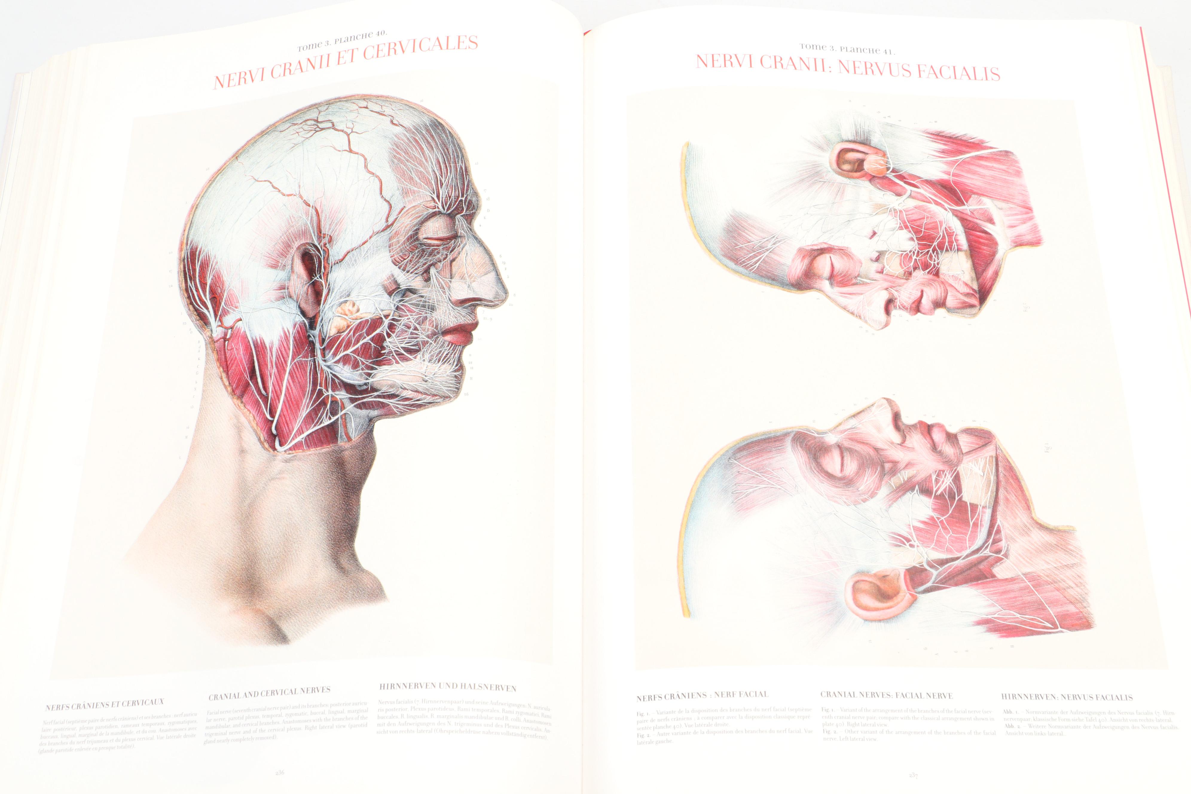 "Atlas of Human Anatomy and Surgery" by J. M. Bourgery and N. H. Jacob, 2005